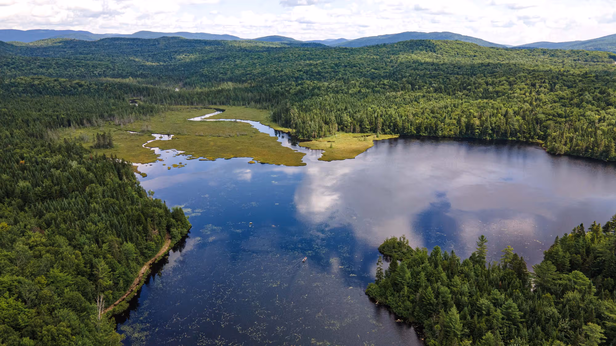 Vue aérienne d'un milieu humide et de montagnes en été