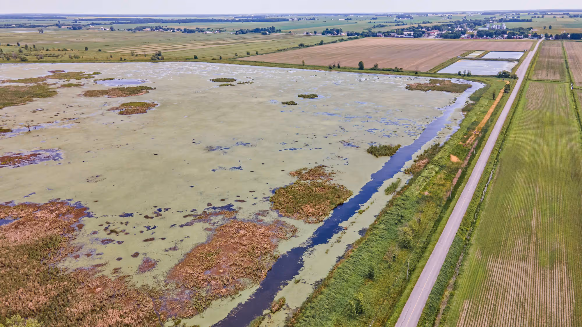 Vue aérienne d'un milieu humide bordé d'une route