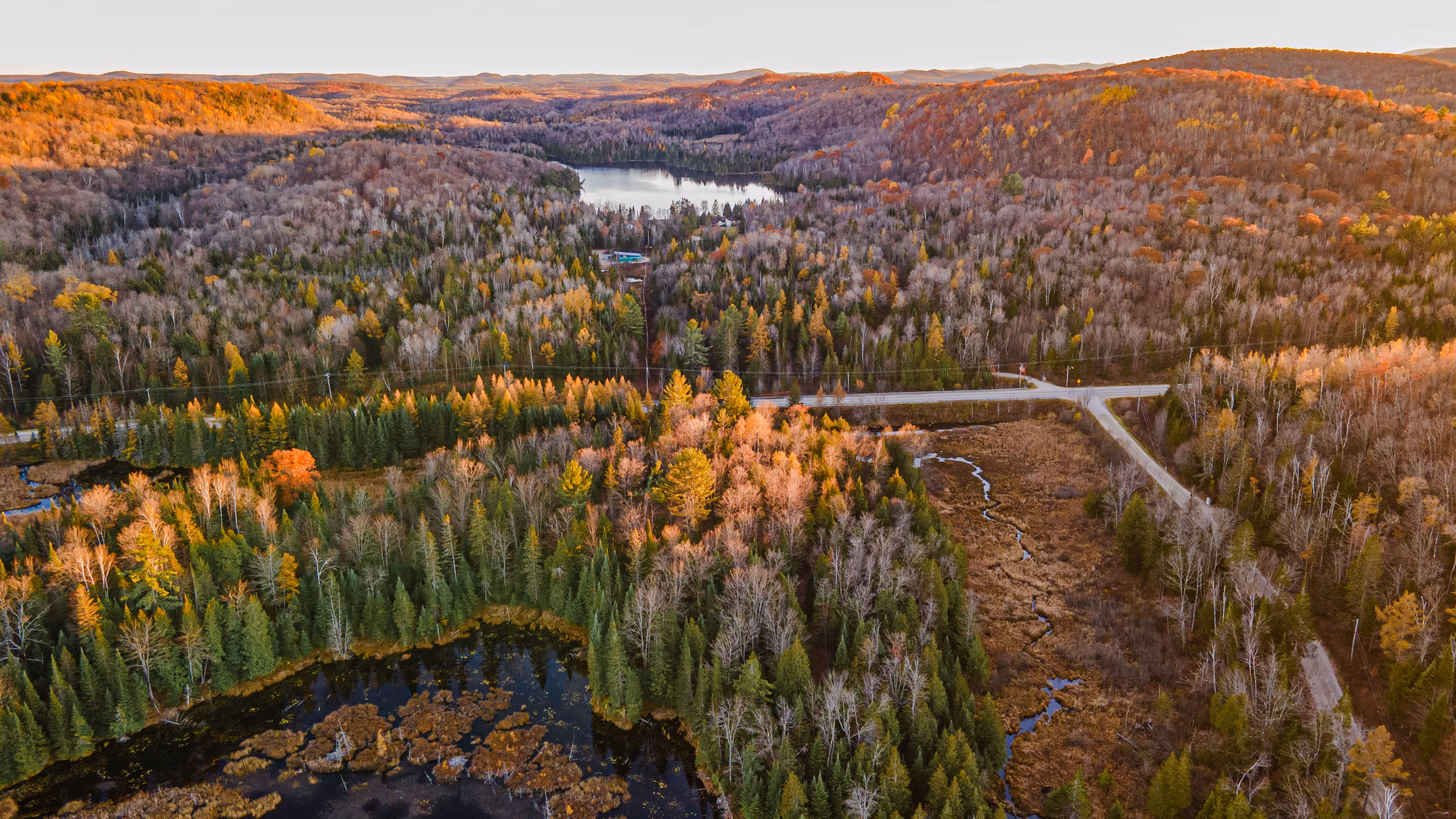vue aérienne d'un milieu humide en automne