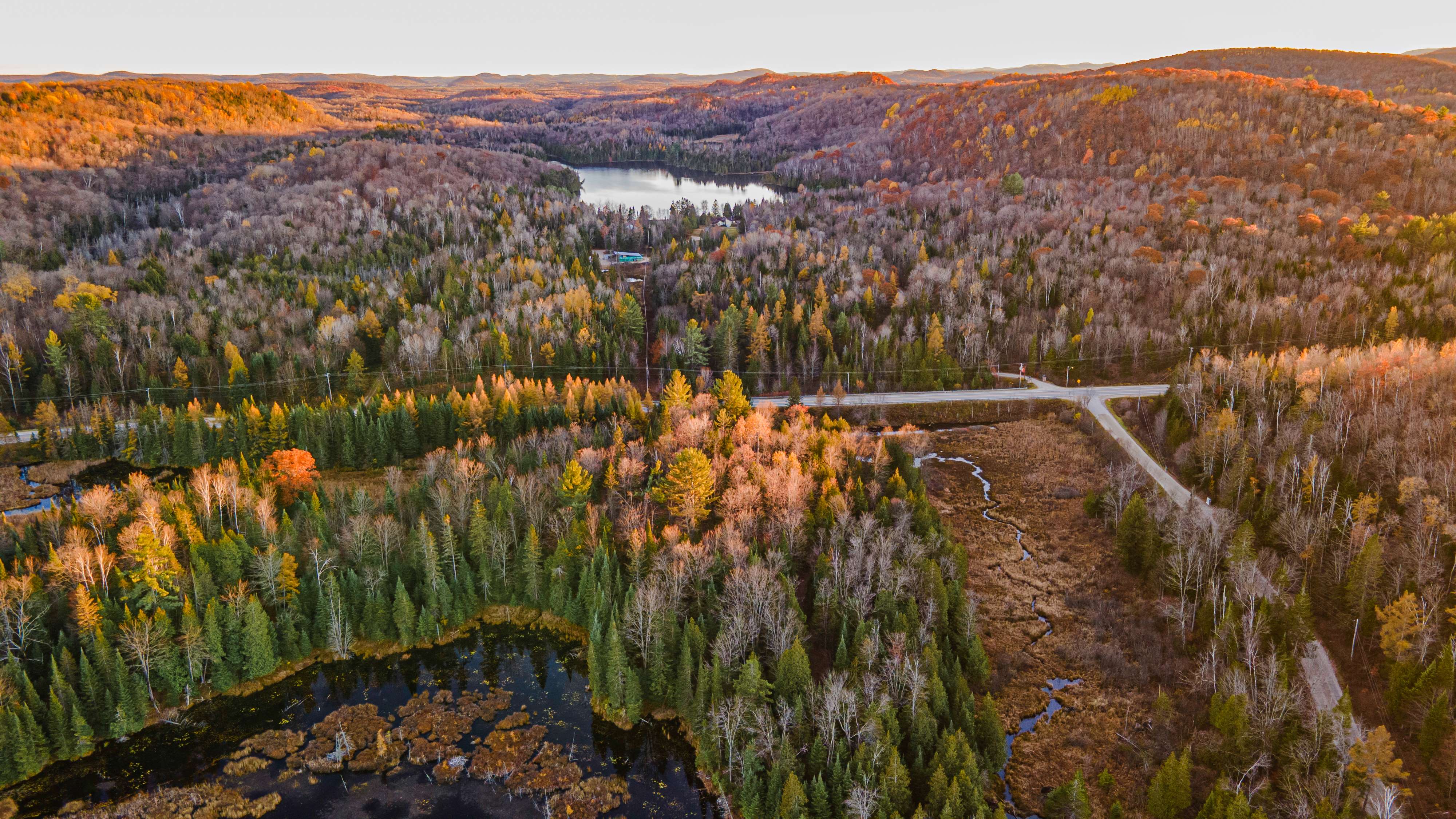 vue aérienne d'un milieu humide en automne