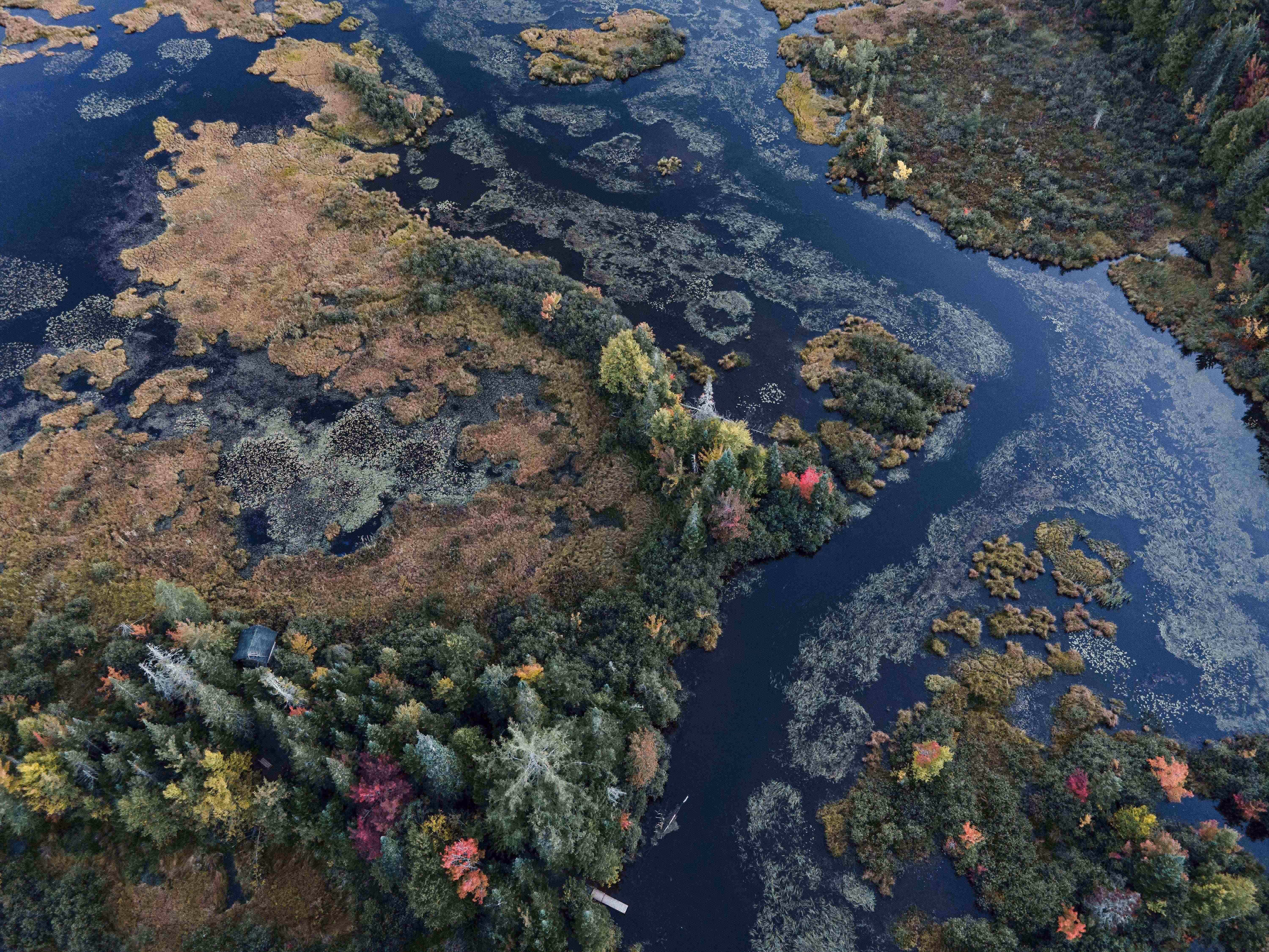 Vue aérienne d'un milieu humide en automne