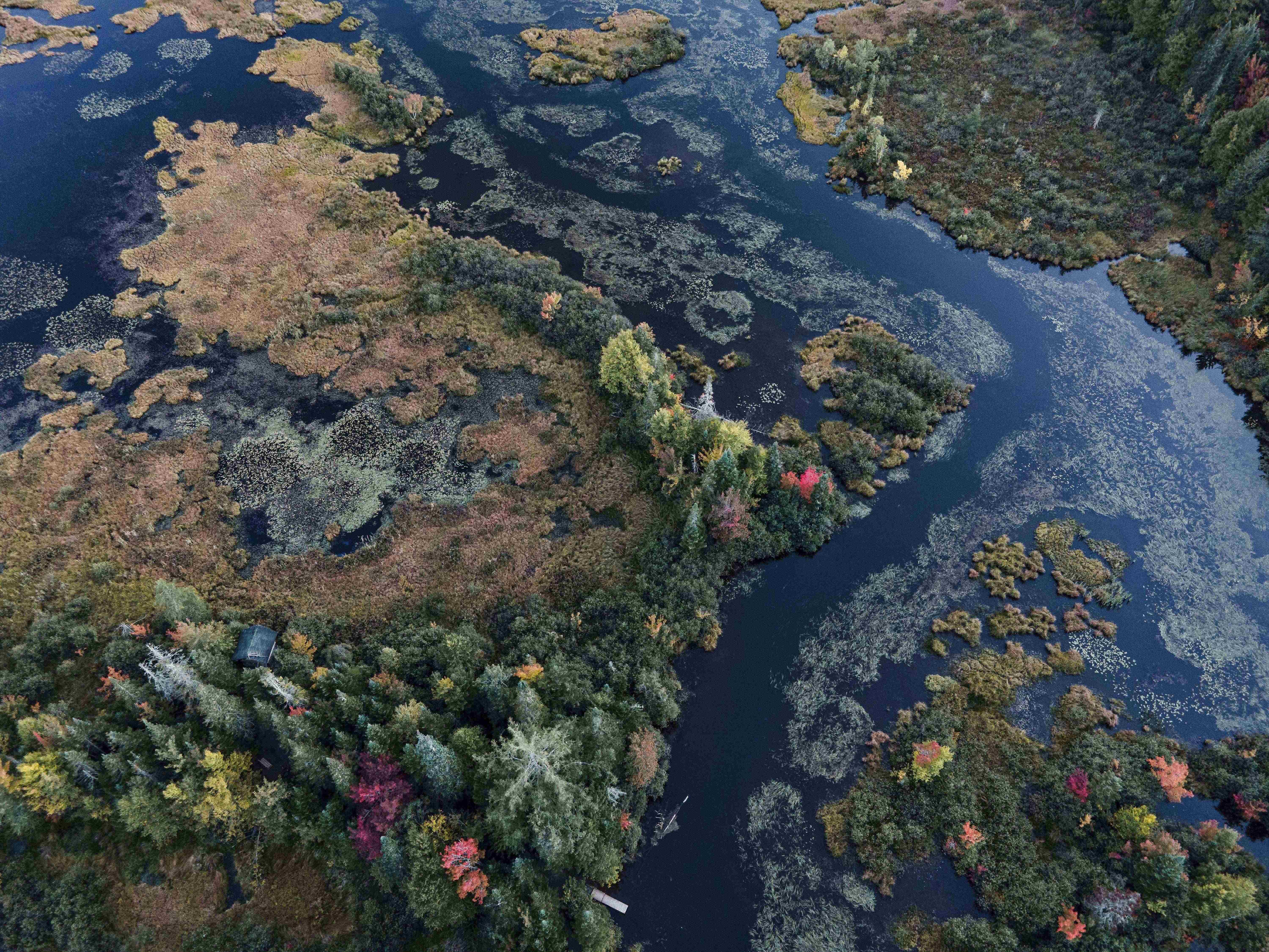 Vue aérienne d'un milieu humide en automne
