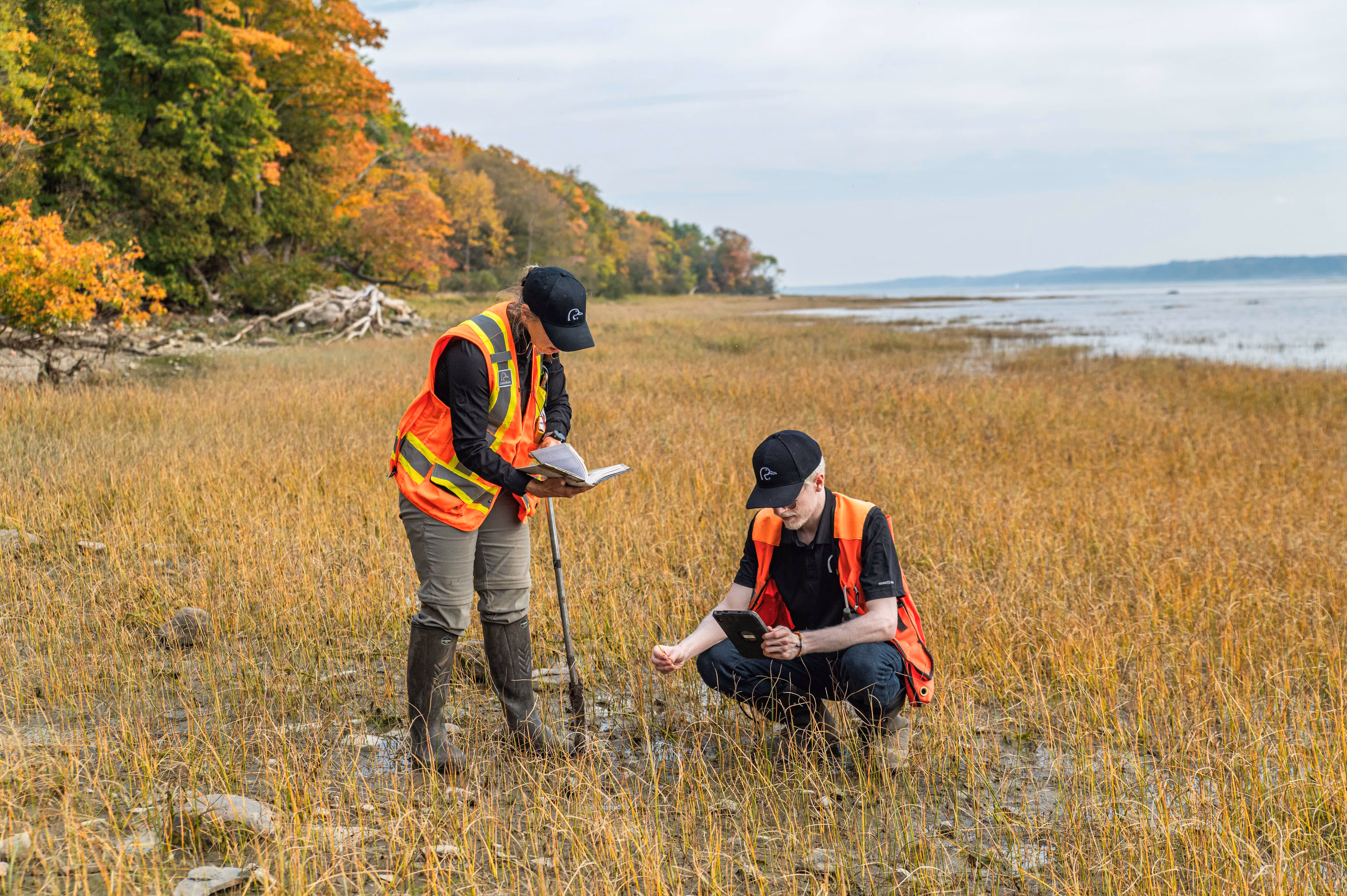 Deux professionnels travaillent dans un milieu humide