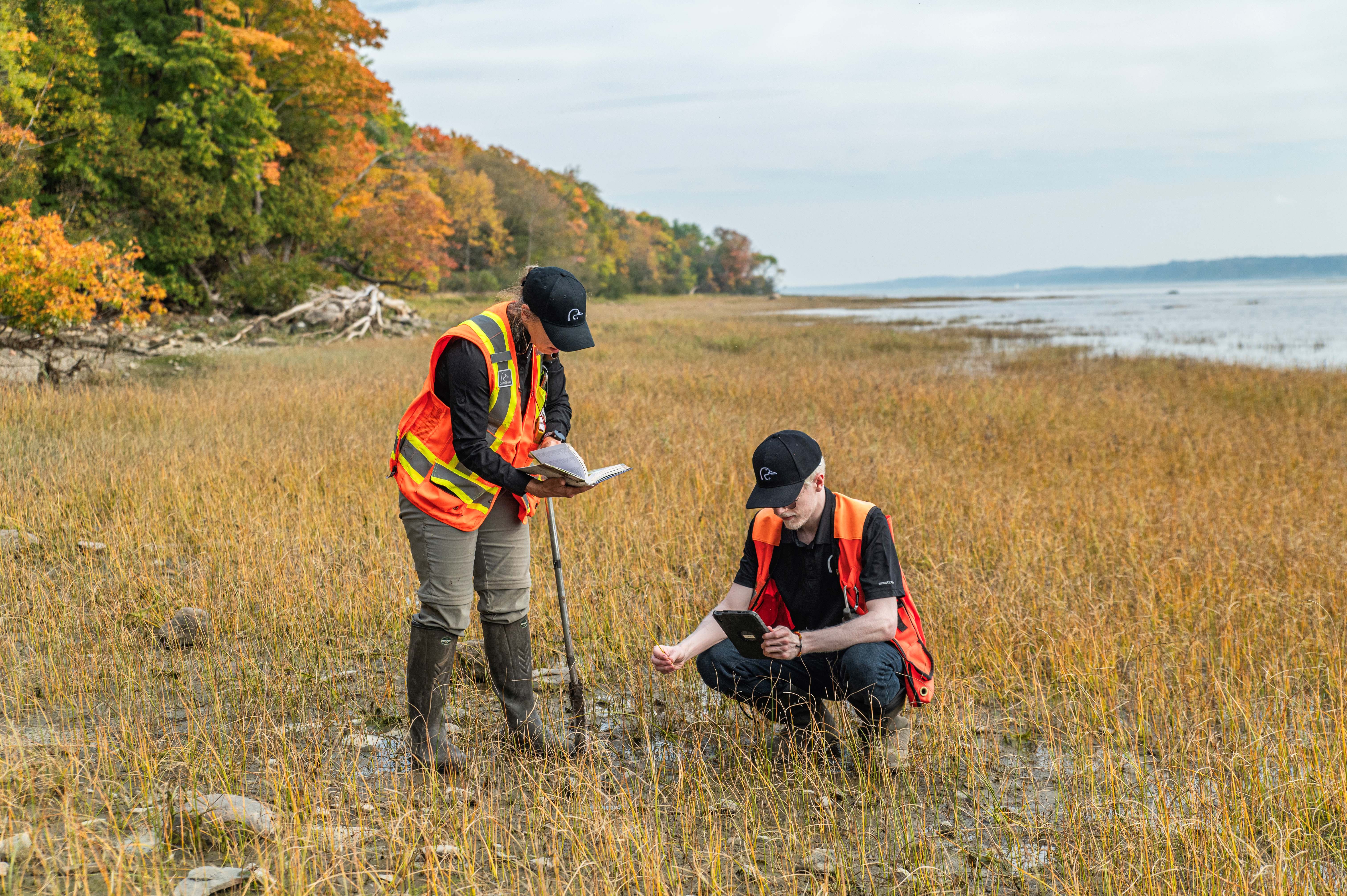 Deux professionnels travaillent dans un milieu humide