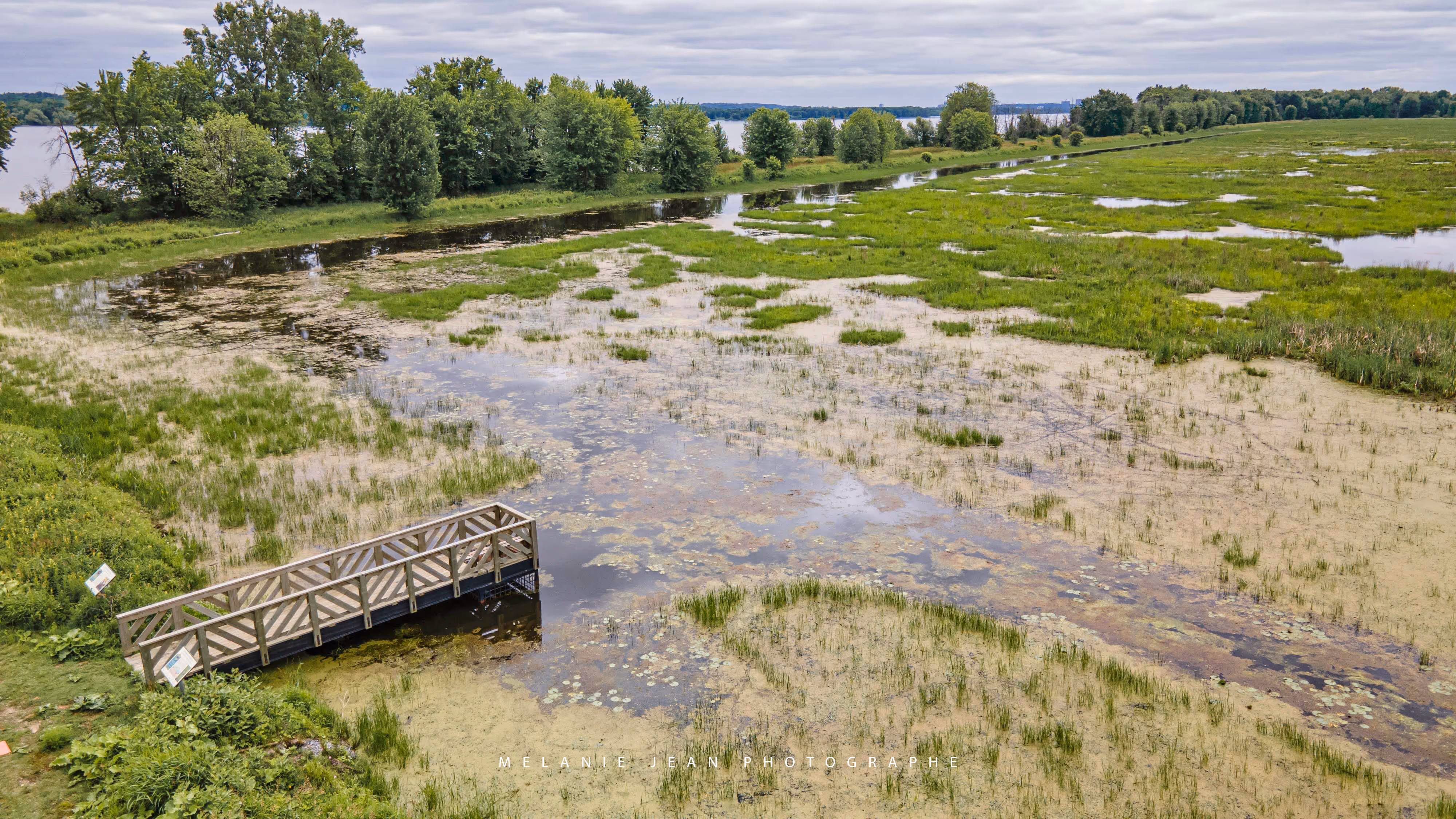 Le marais aux Grenouillettes, en Outaouais