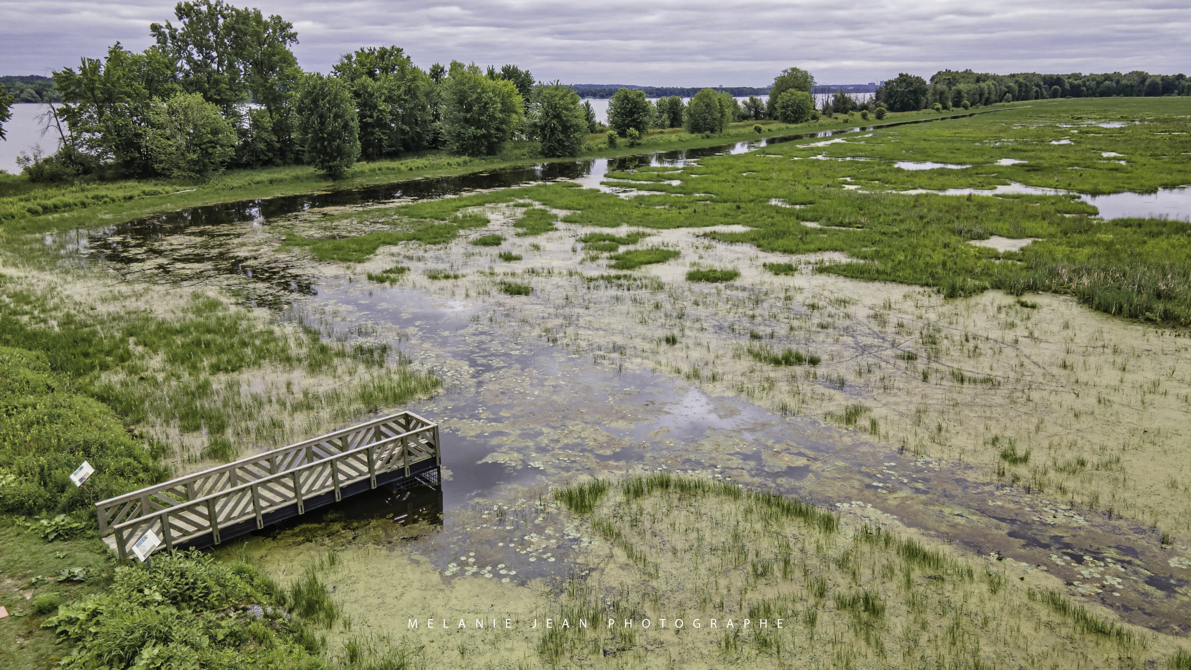 Le marais aux Grenouillettes, en Outaouais