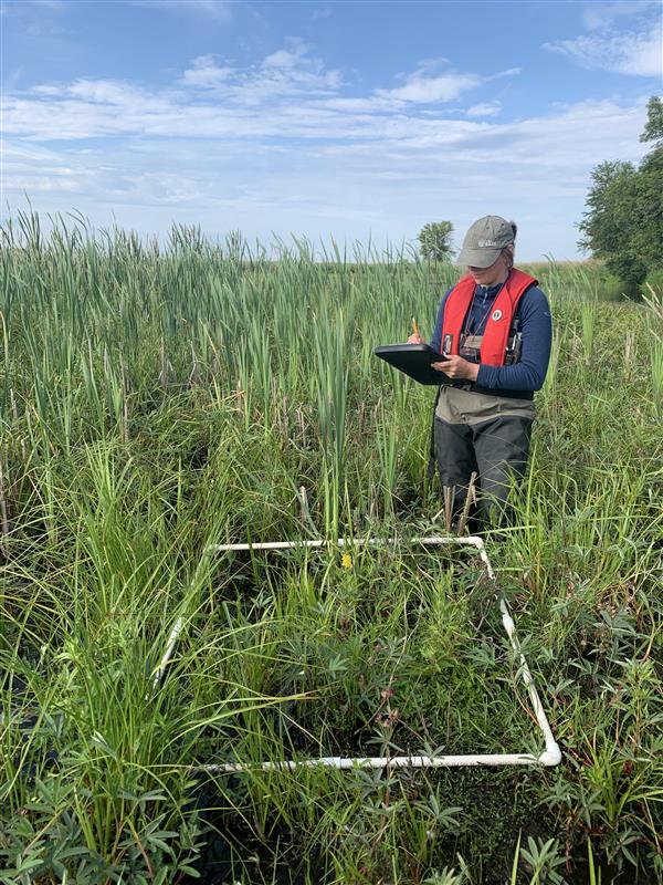 Une étudiante fait son projet de recherche sur les milieux humides