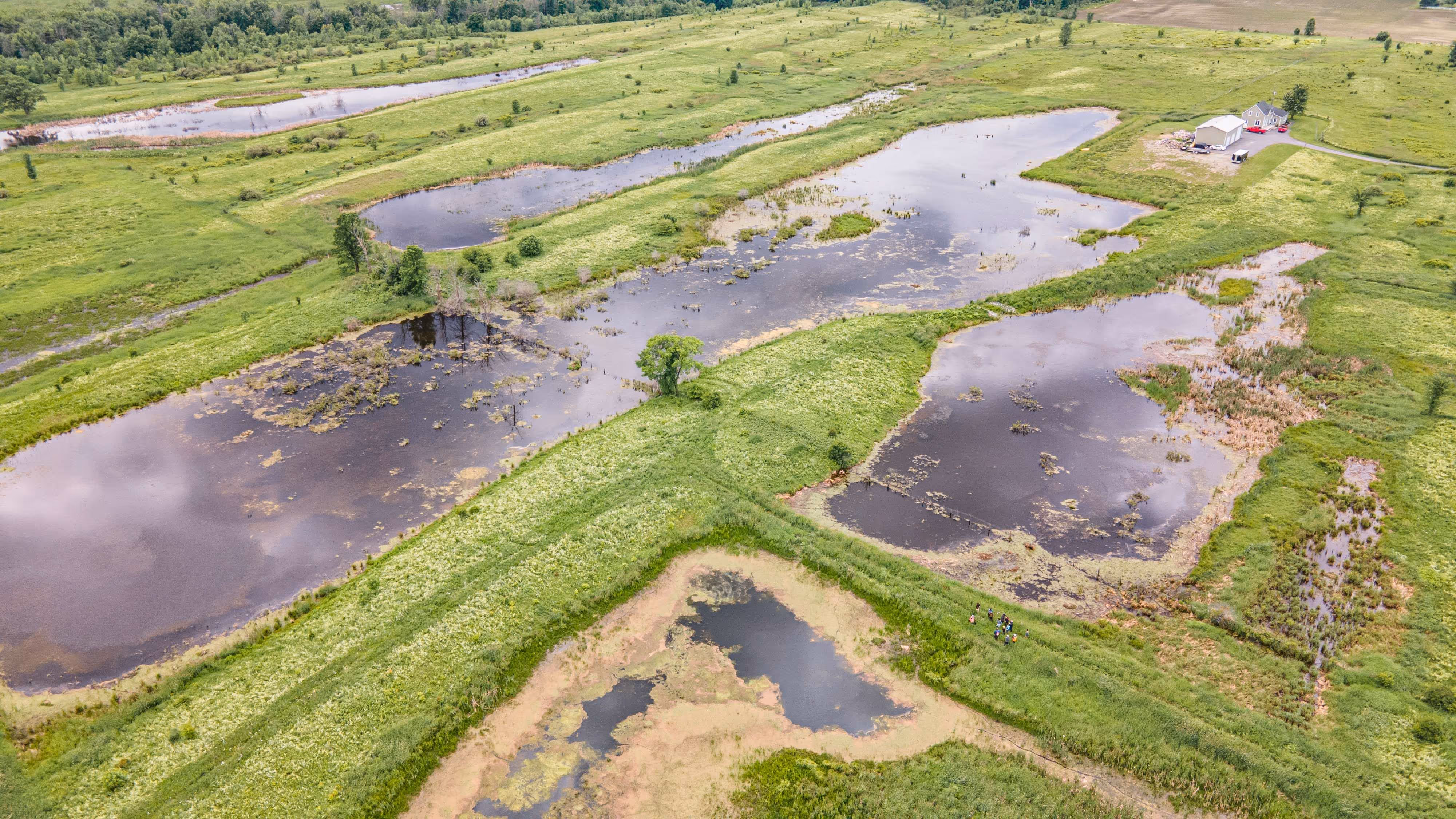 Vue aérienne du marais Lanthier