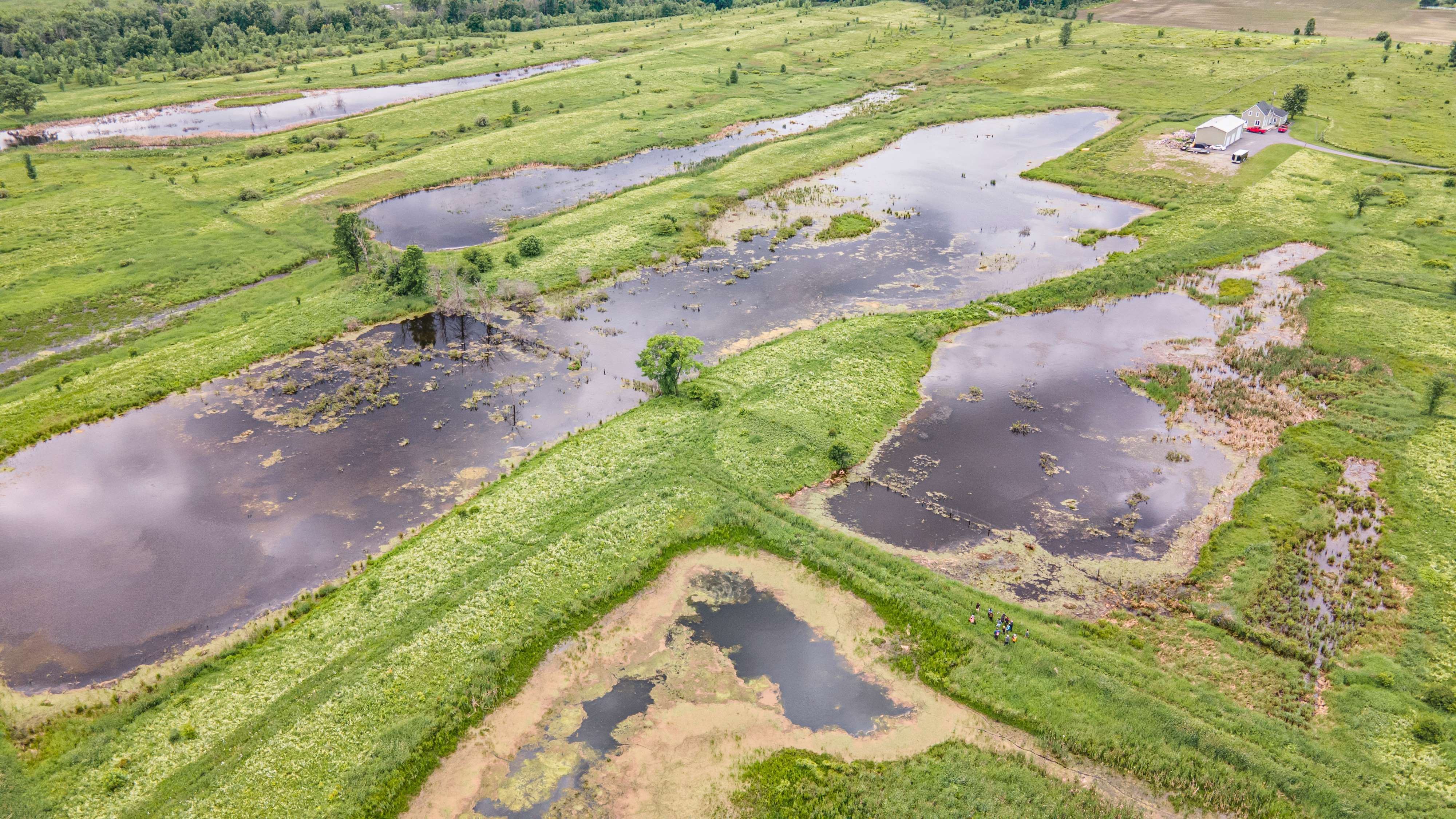 Vue aérienne du marais Lanthier