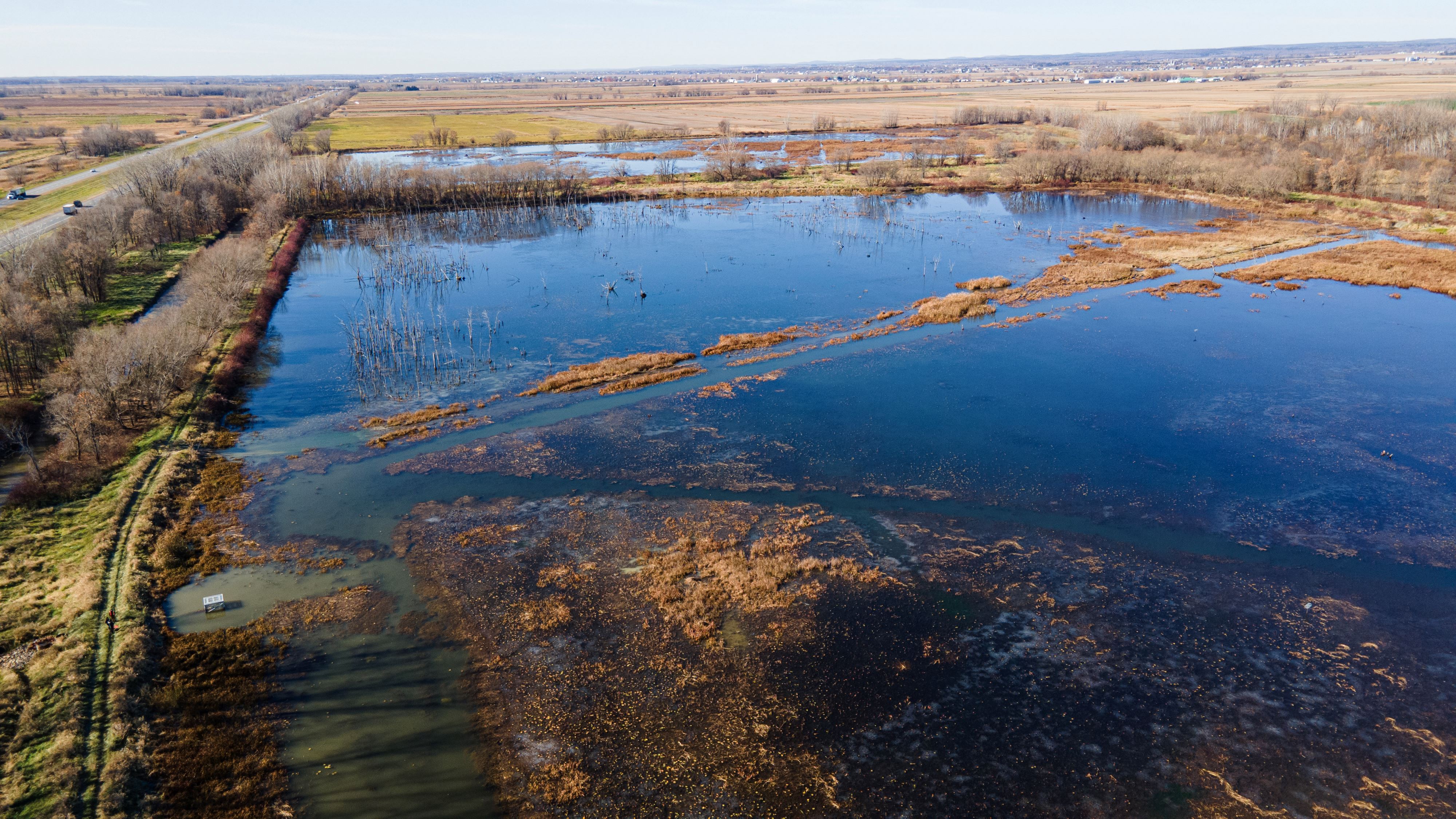 Vue aérienne du marais à Saint-Barthélémy