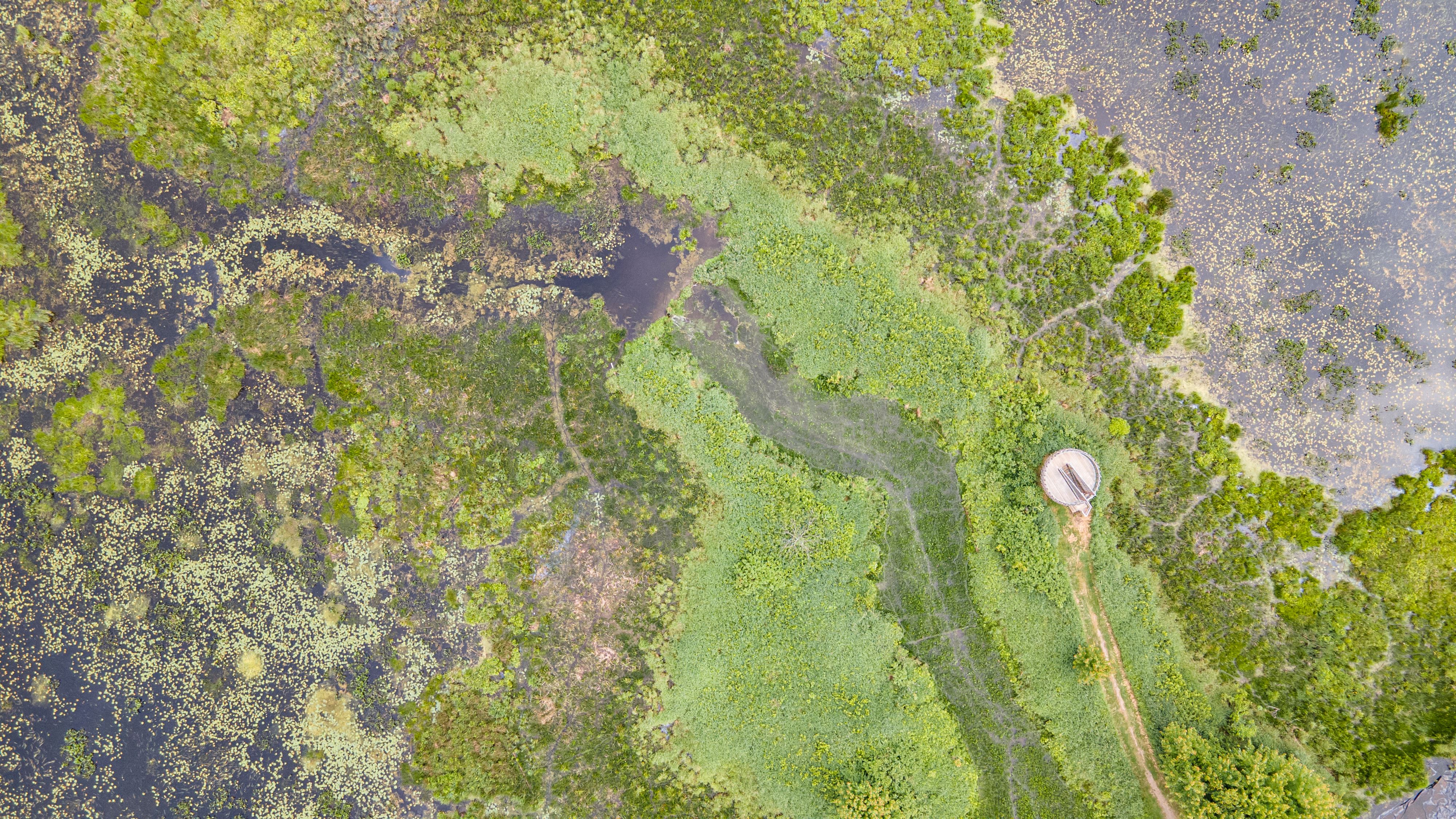 Vue aérienne du marais Thurso