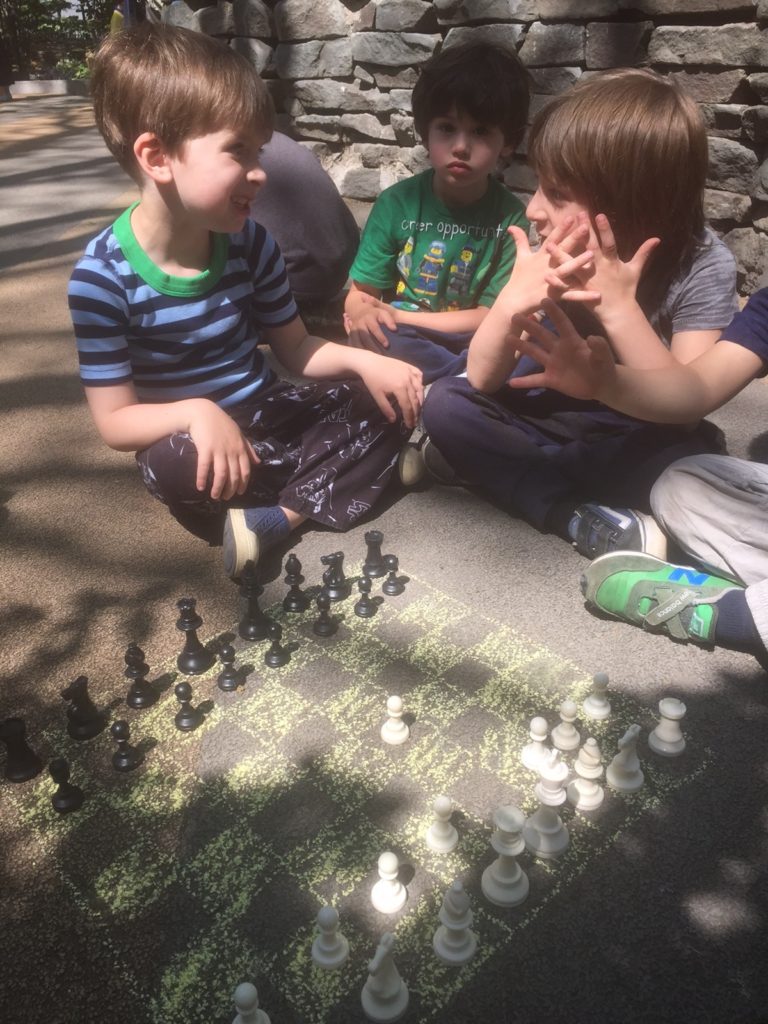 chess lesson
