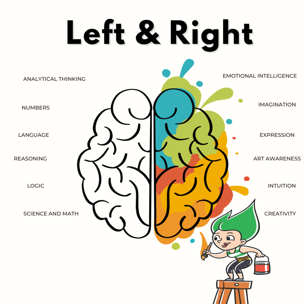 right and left brain