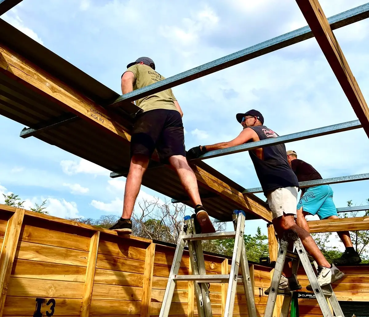 branches ambassadors on ladders in construction