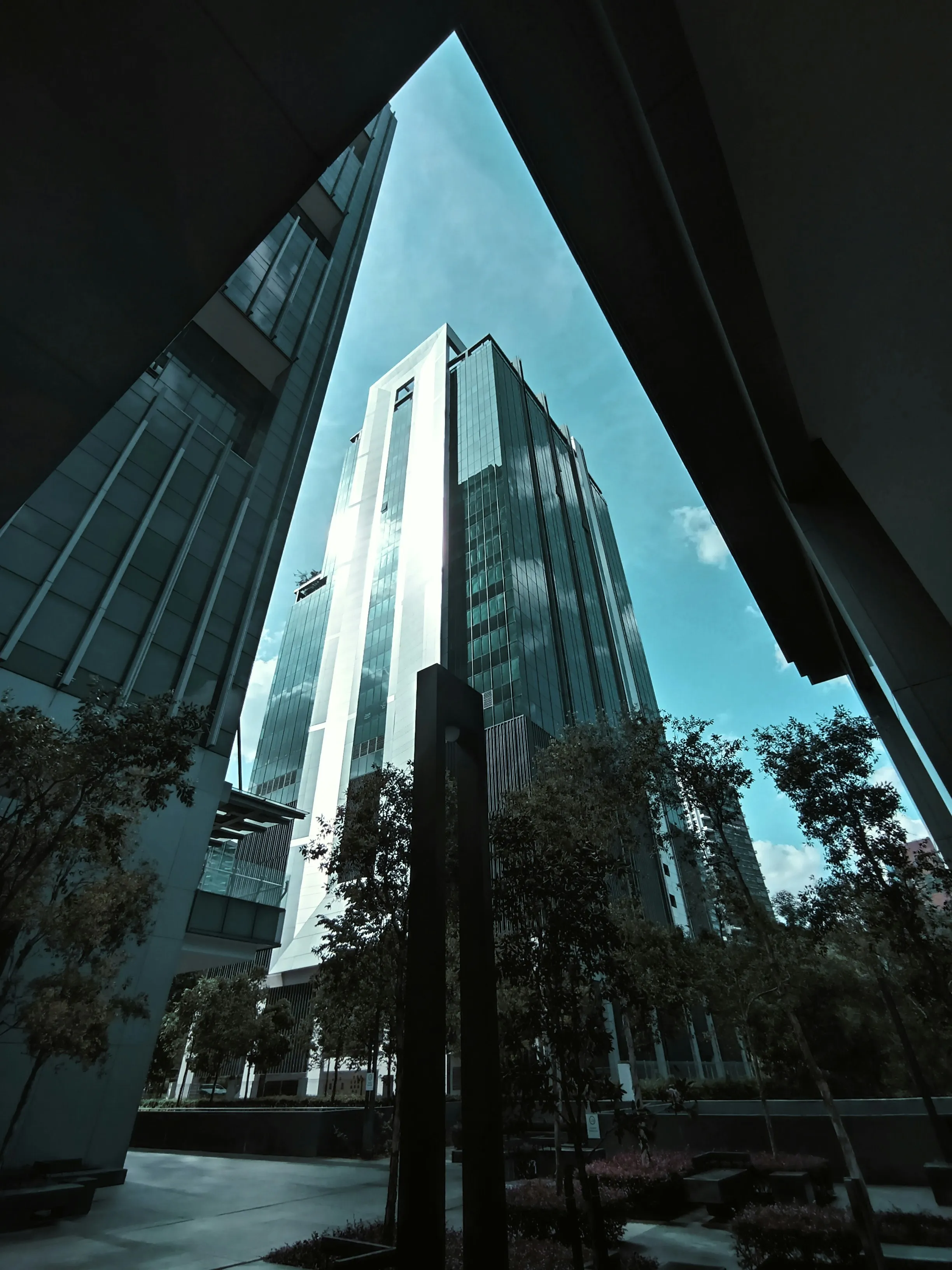 building by v ming wong