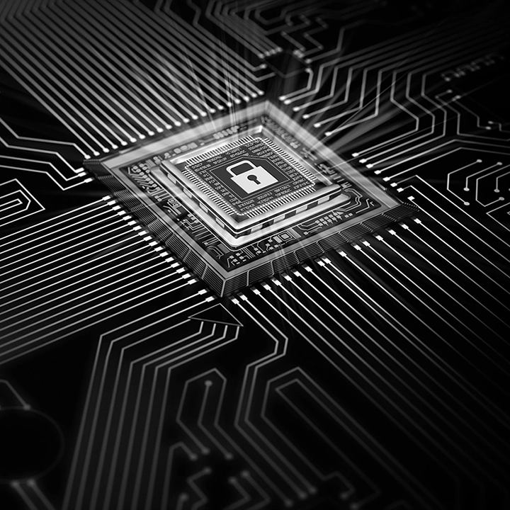 Data Security Chip Board