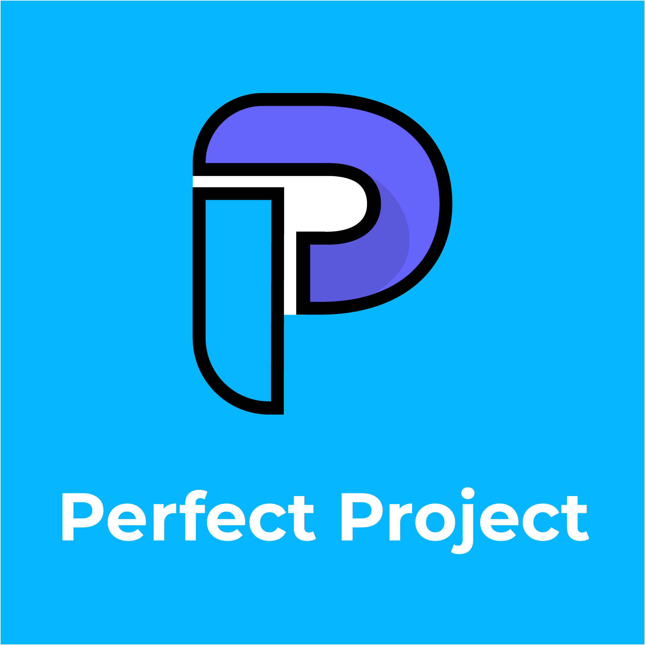 Perfect Project 
