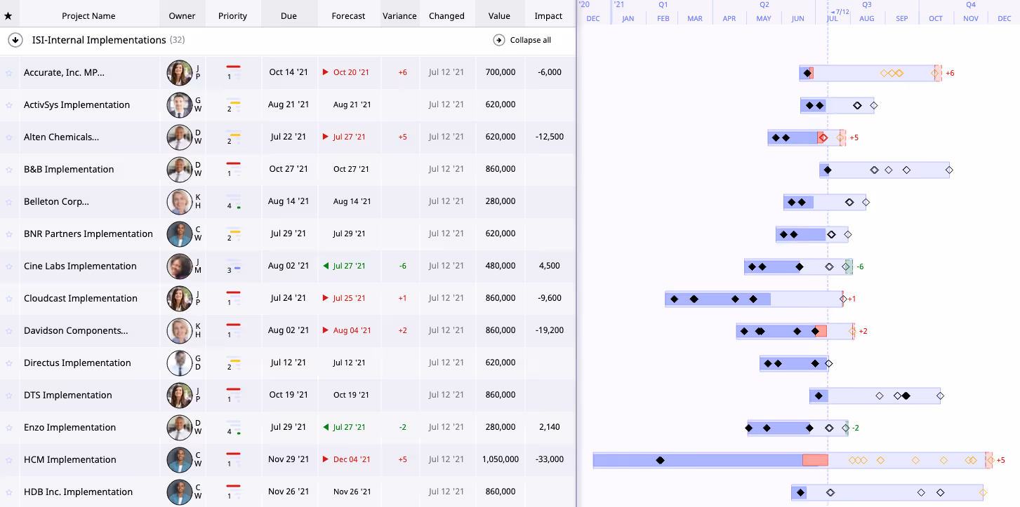Project Portfolio View