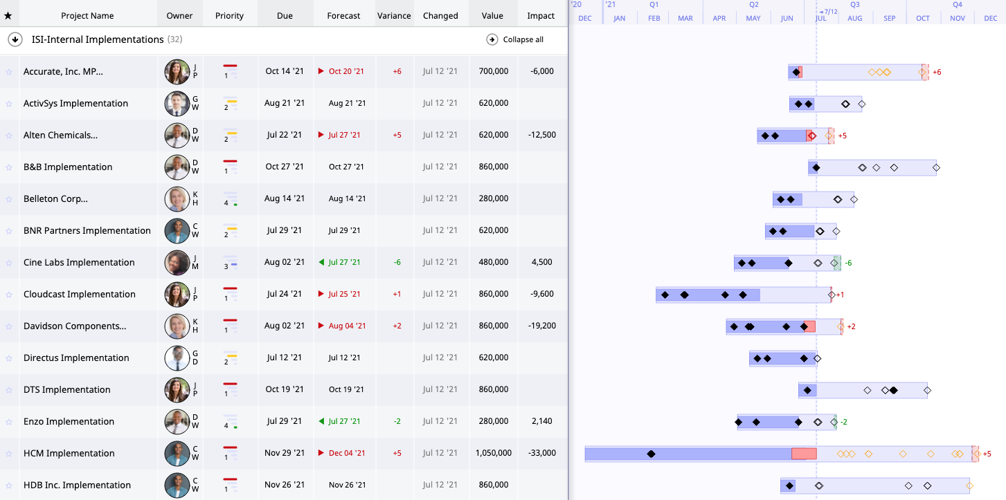 Project Portfolio View