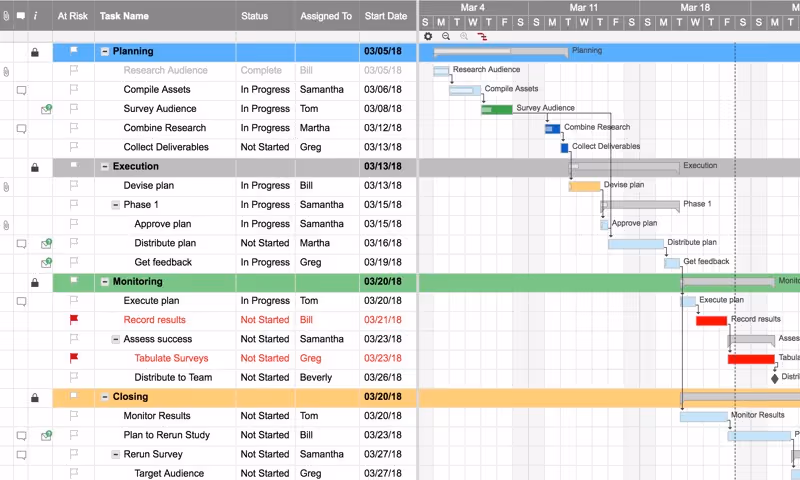 Project Management