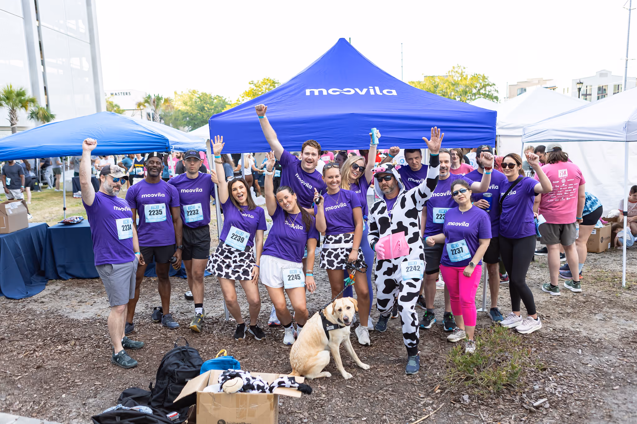 Charleston River Dogs Moovila