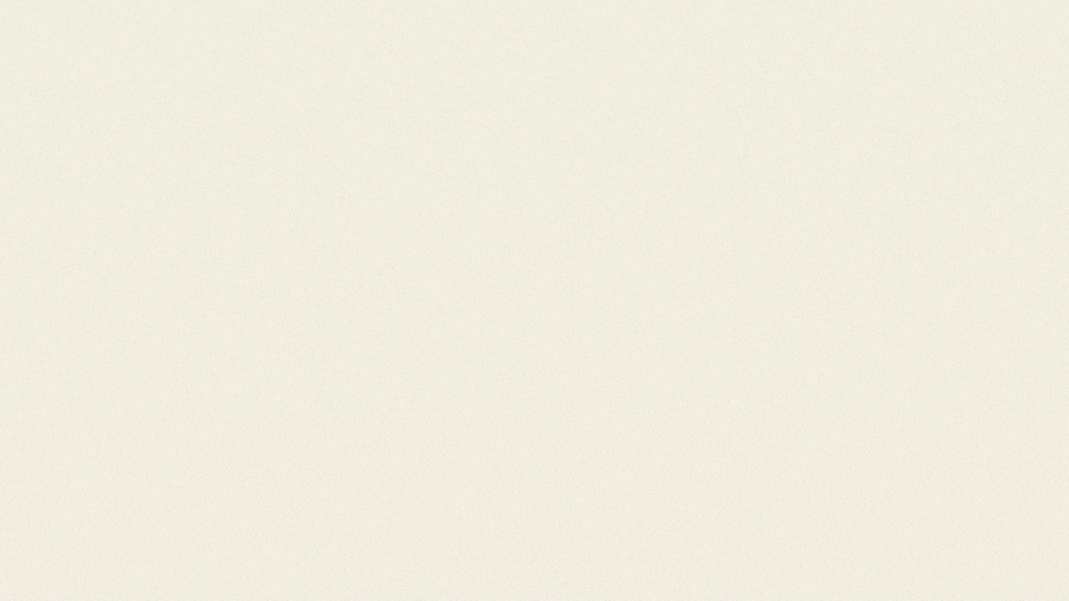 Filters for visual reports