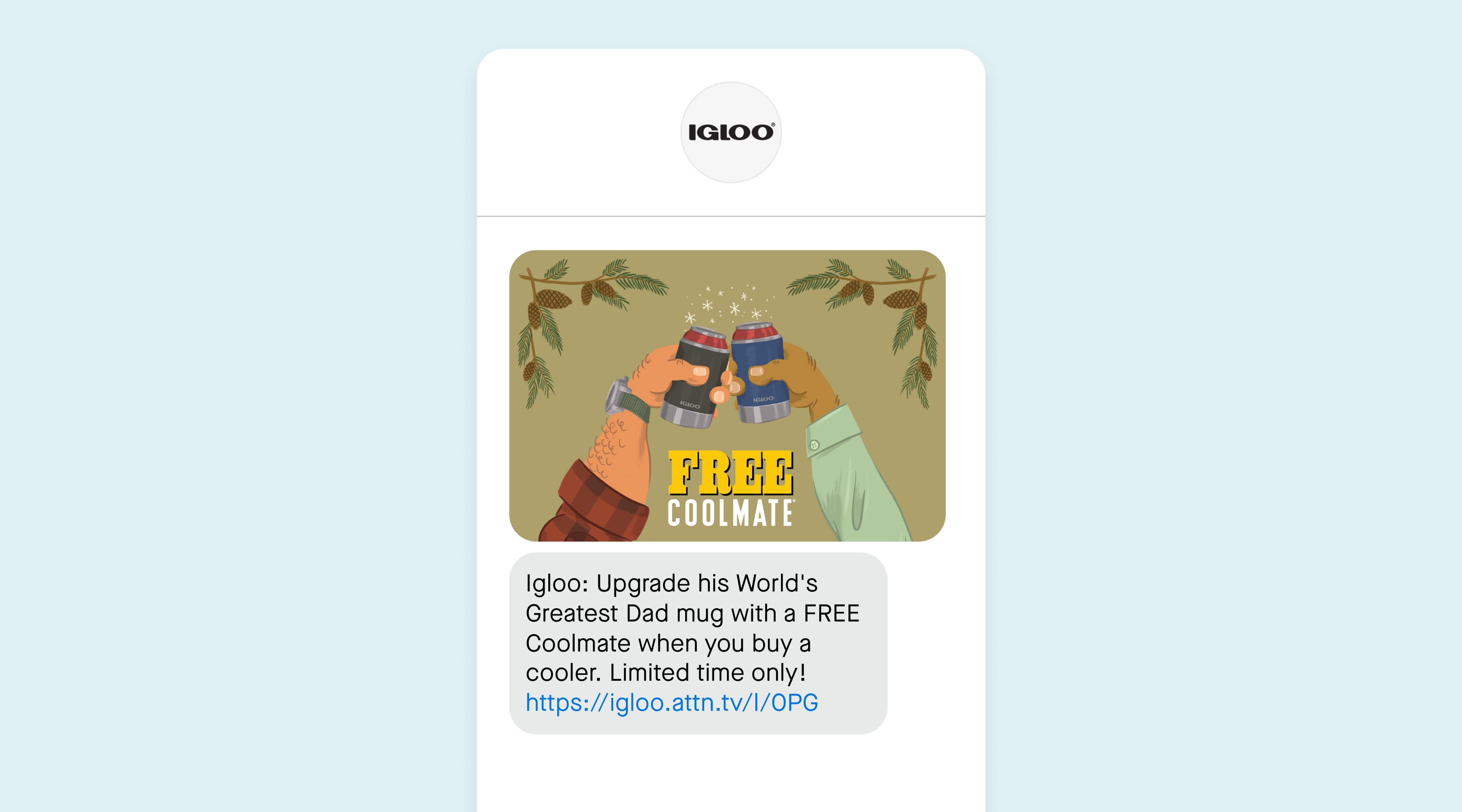 Father's Day SMS campaign from Igloo