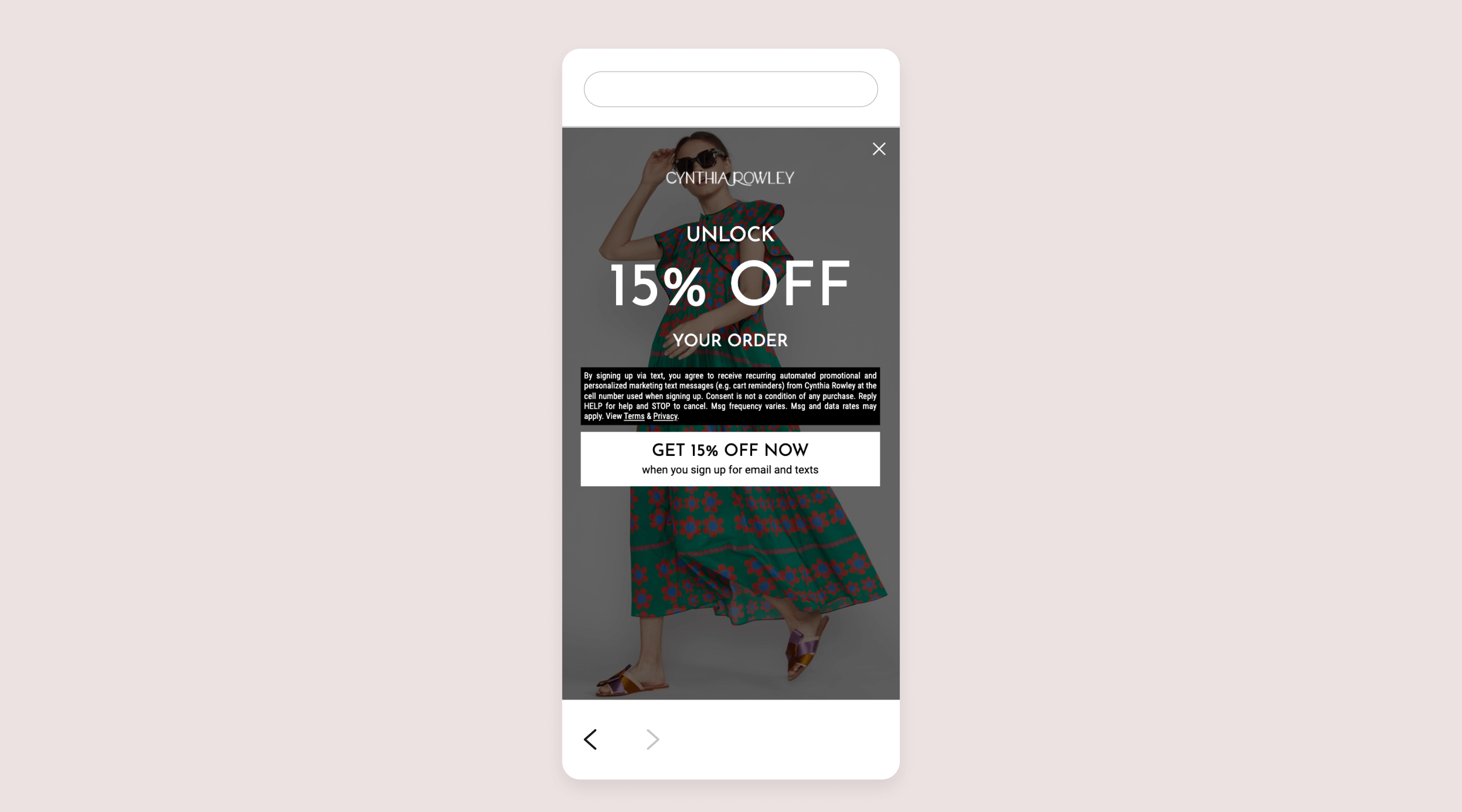 cynthia rowley 15%