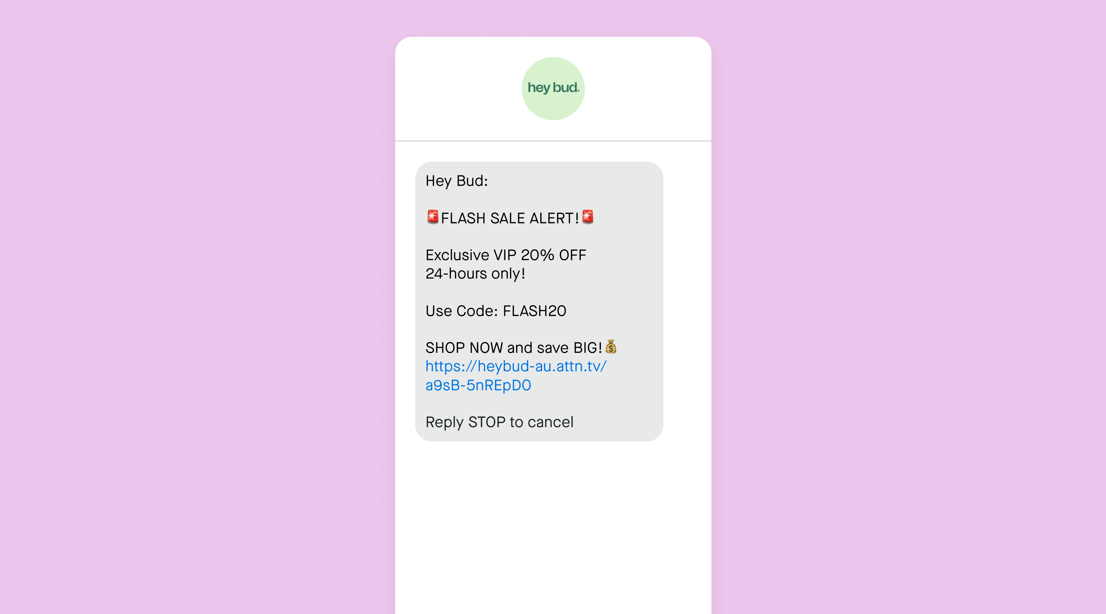 Boxing Day SMS campaign example from Hey Bud
