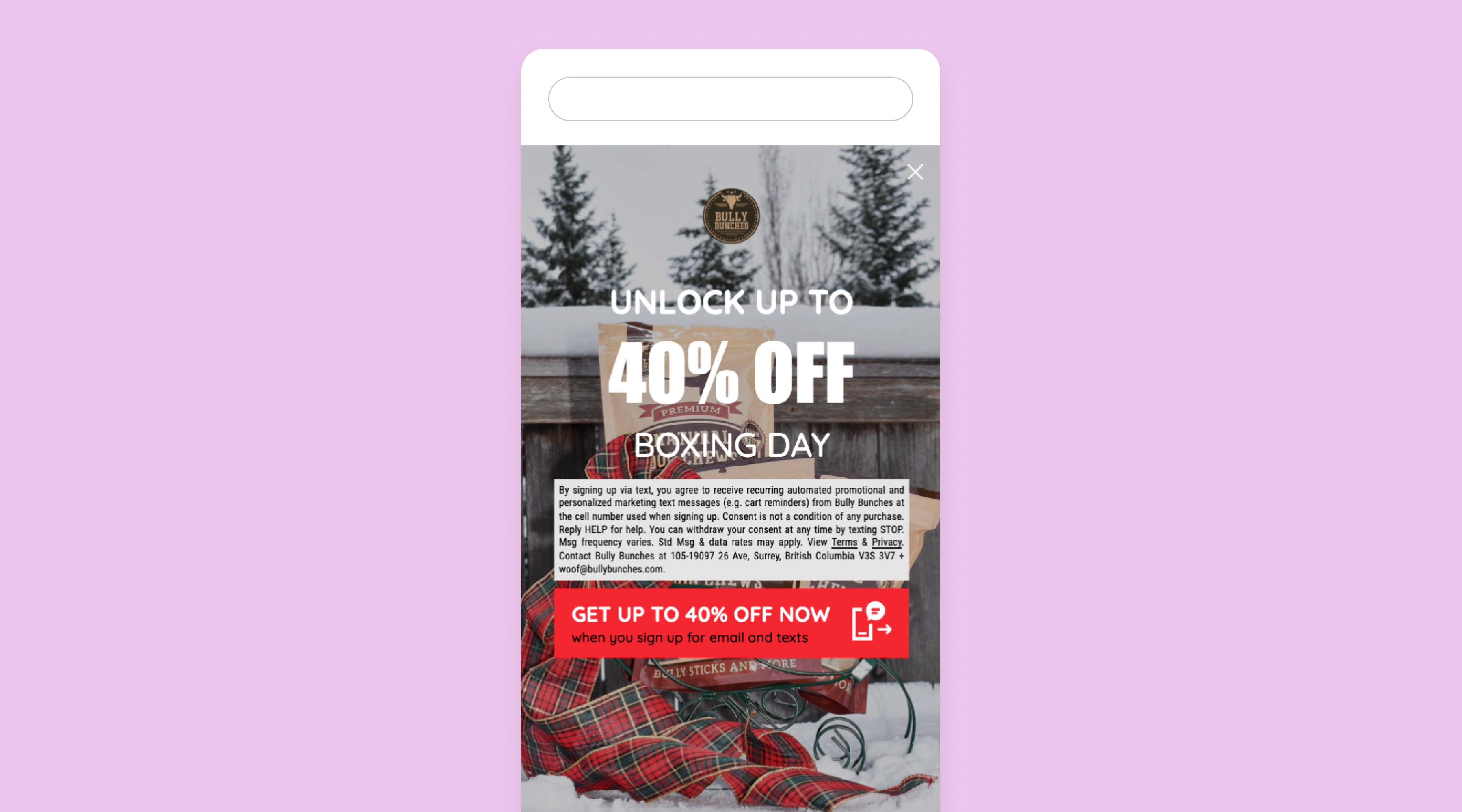 Boxing Day SMS campaign example from Bully Bunches