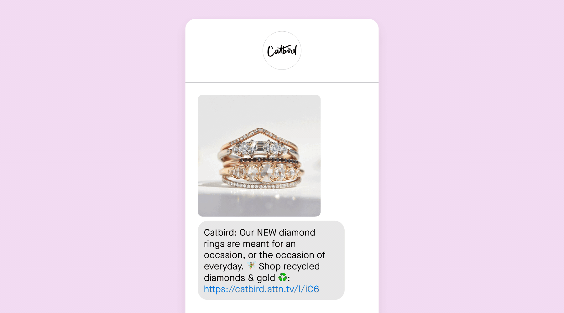 SMS campaign example from Catbird