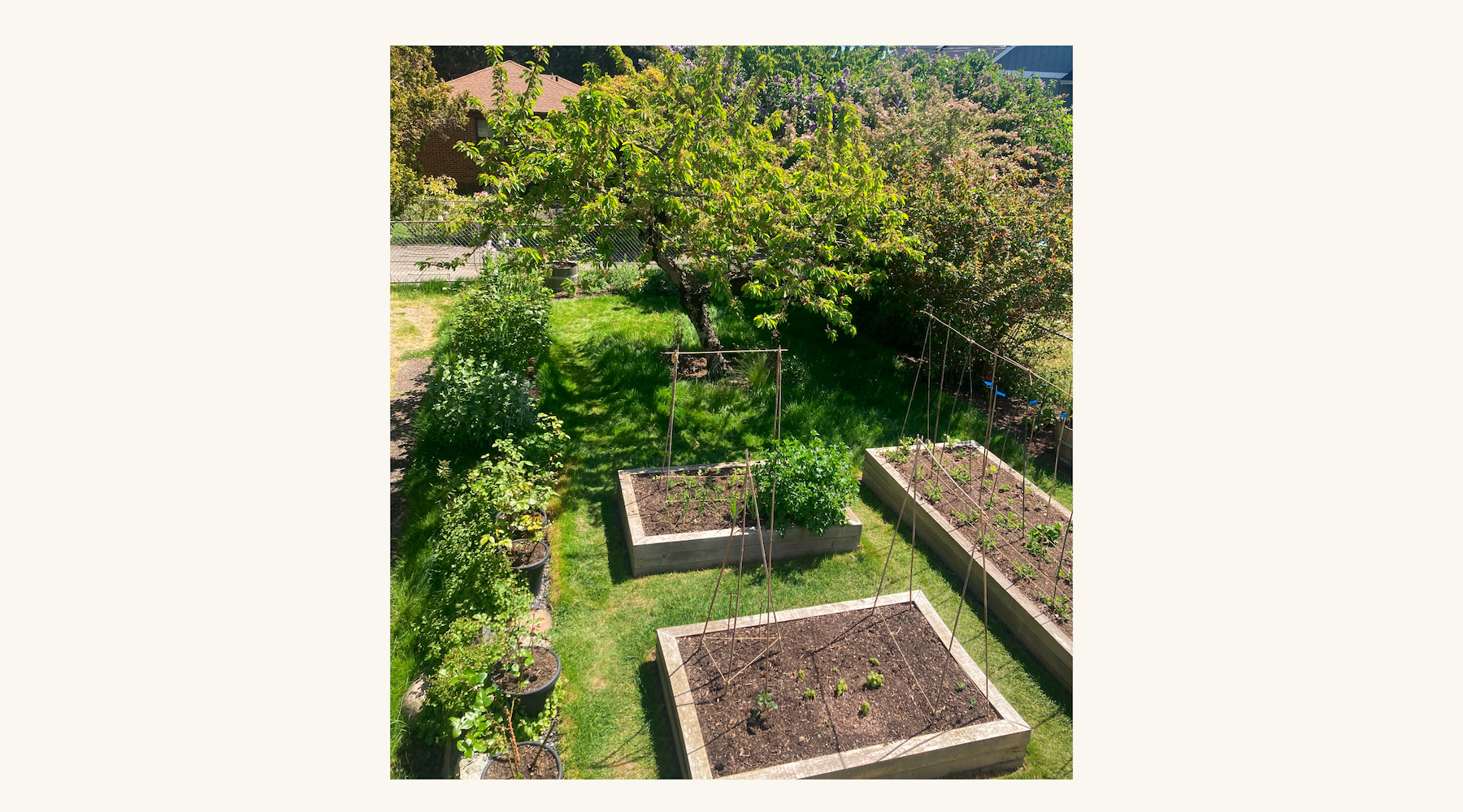 Taking a break in the garden