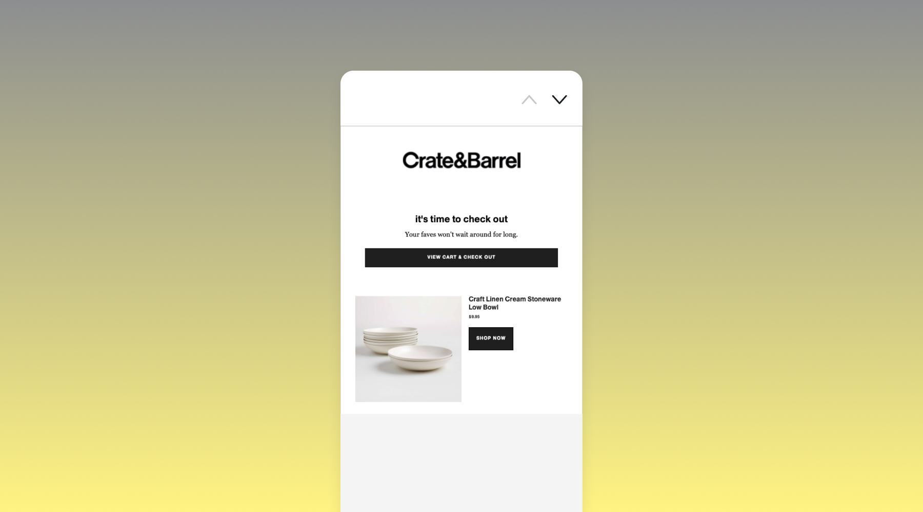 Customer example of a personalized email 