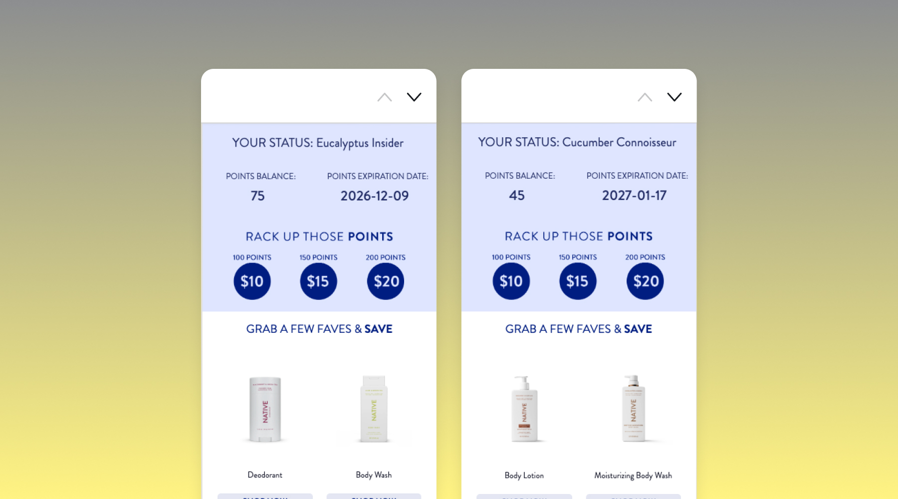 Example of email customization 