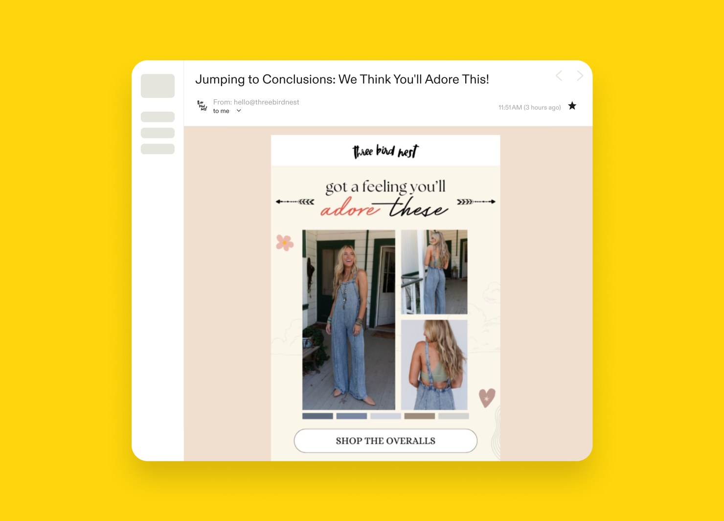 Email marketing example from Three Bird Nest