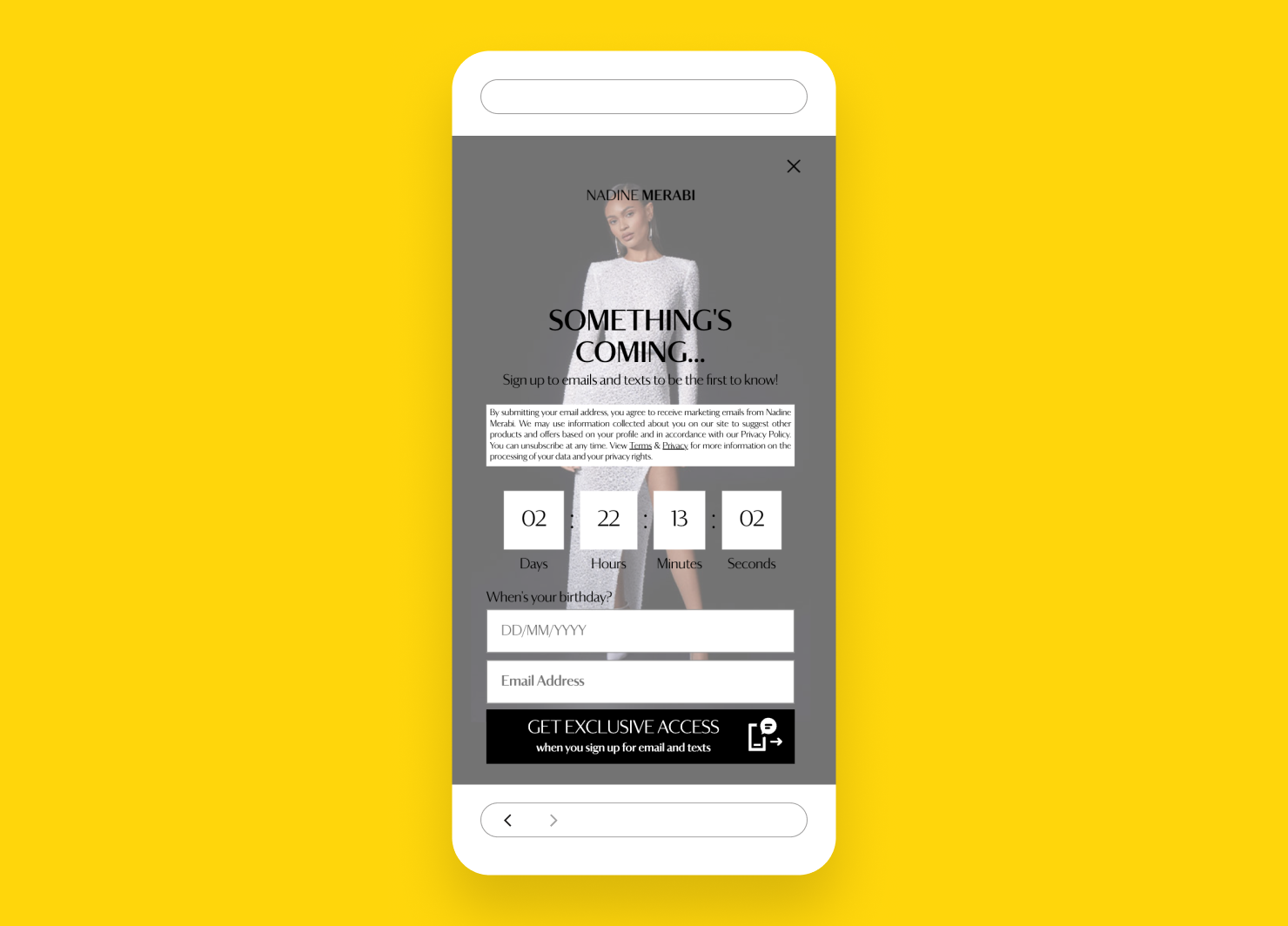 Nadine Merabi email and SMS welcome pop-up with countdown timer