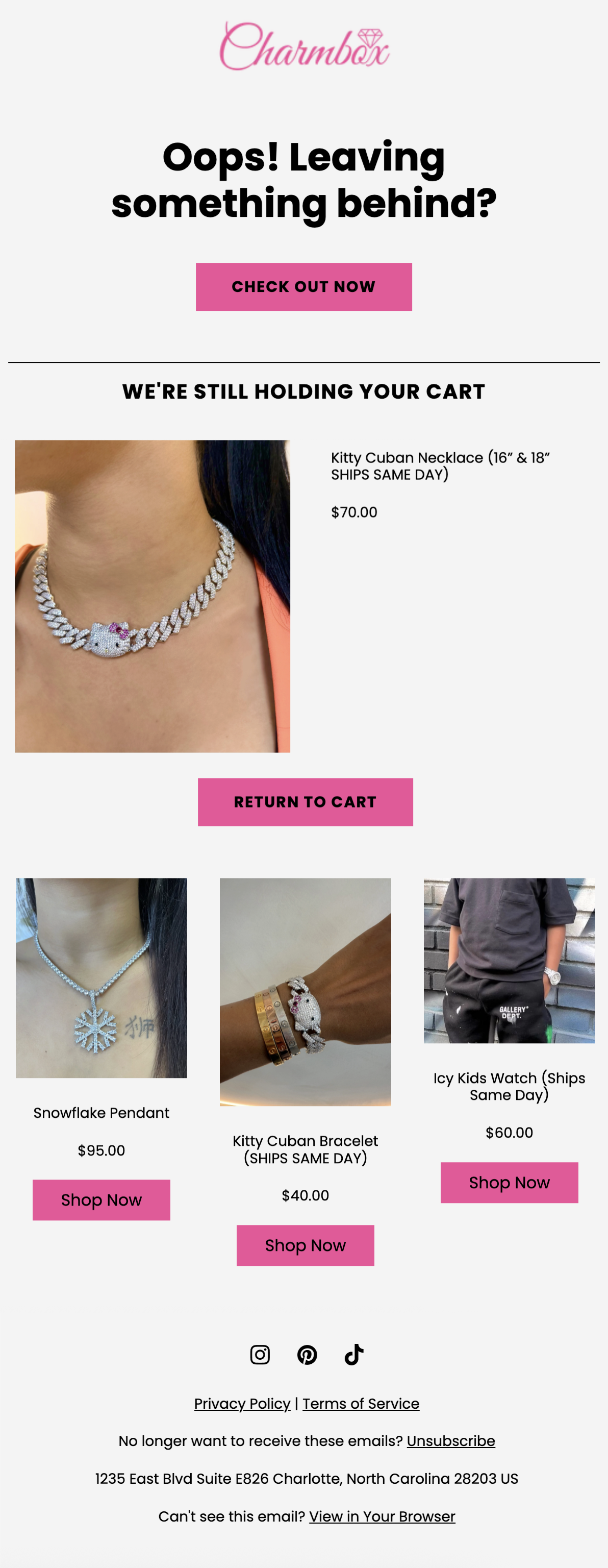 Cart abandonment email example: CharmBox