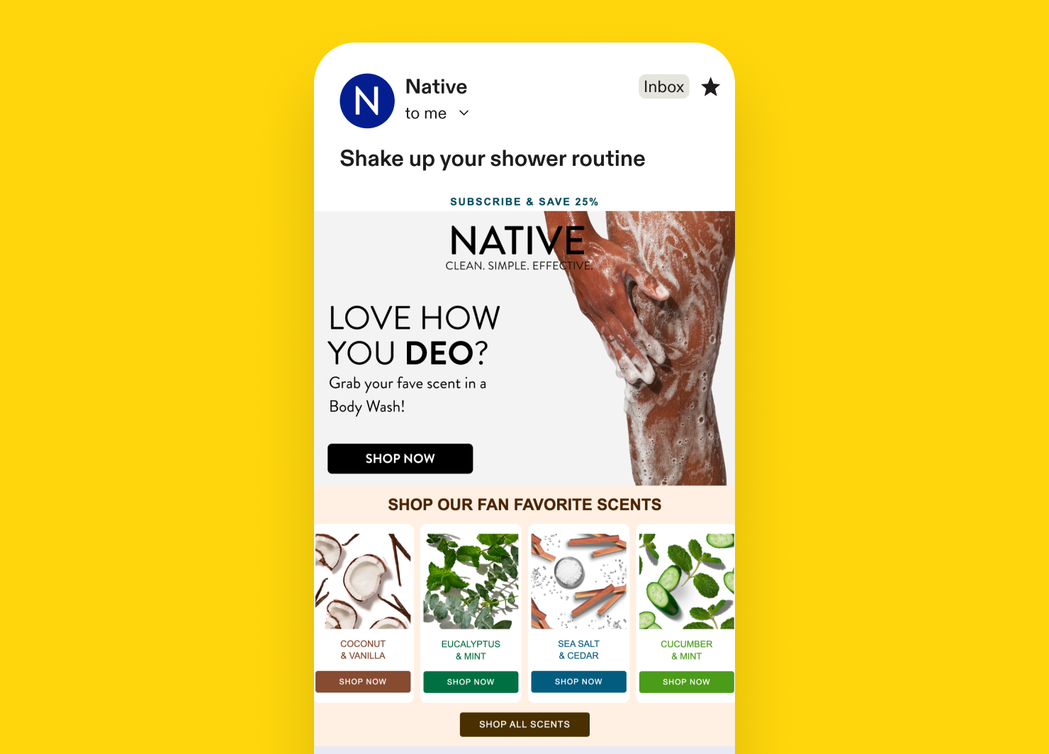Product recommendation email example: Native
