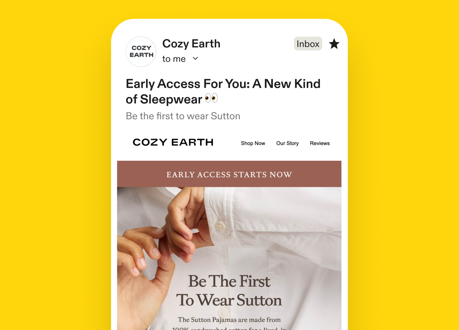Email example form Cozy Earth 