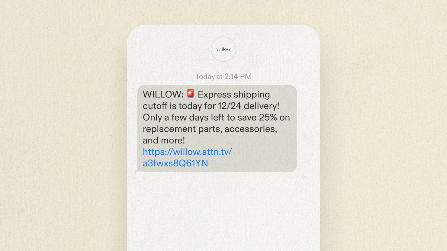 Willow December SMS campaign example