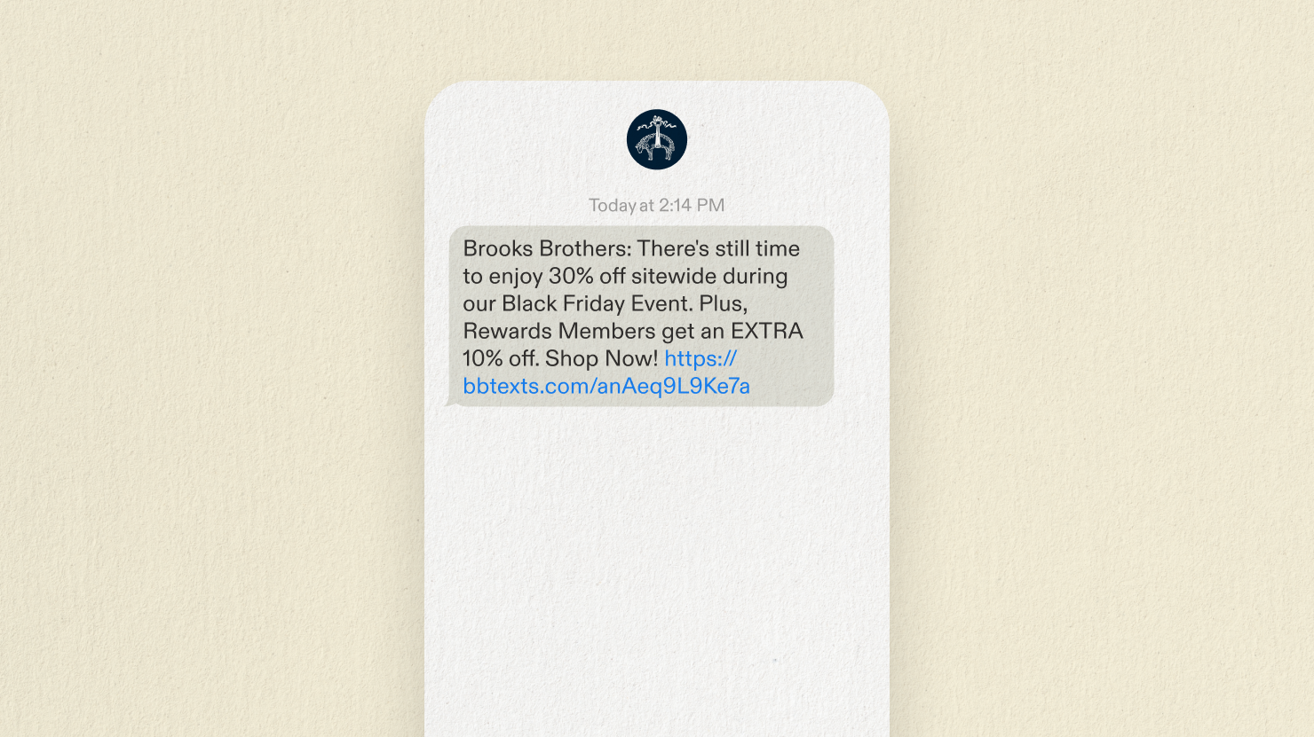 Engaged non-purchaser BFCM SMS campaign example