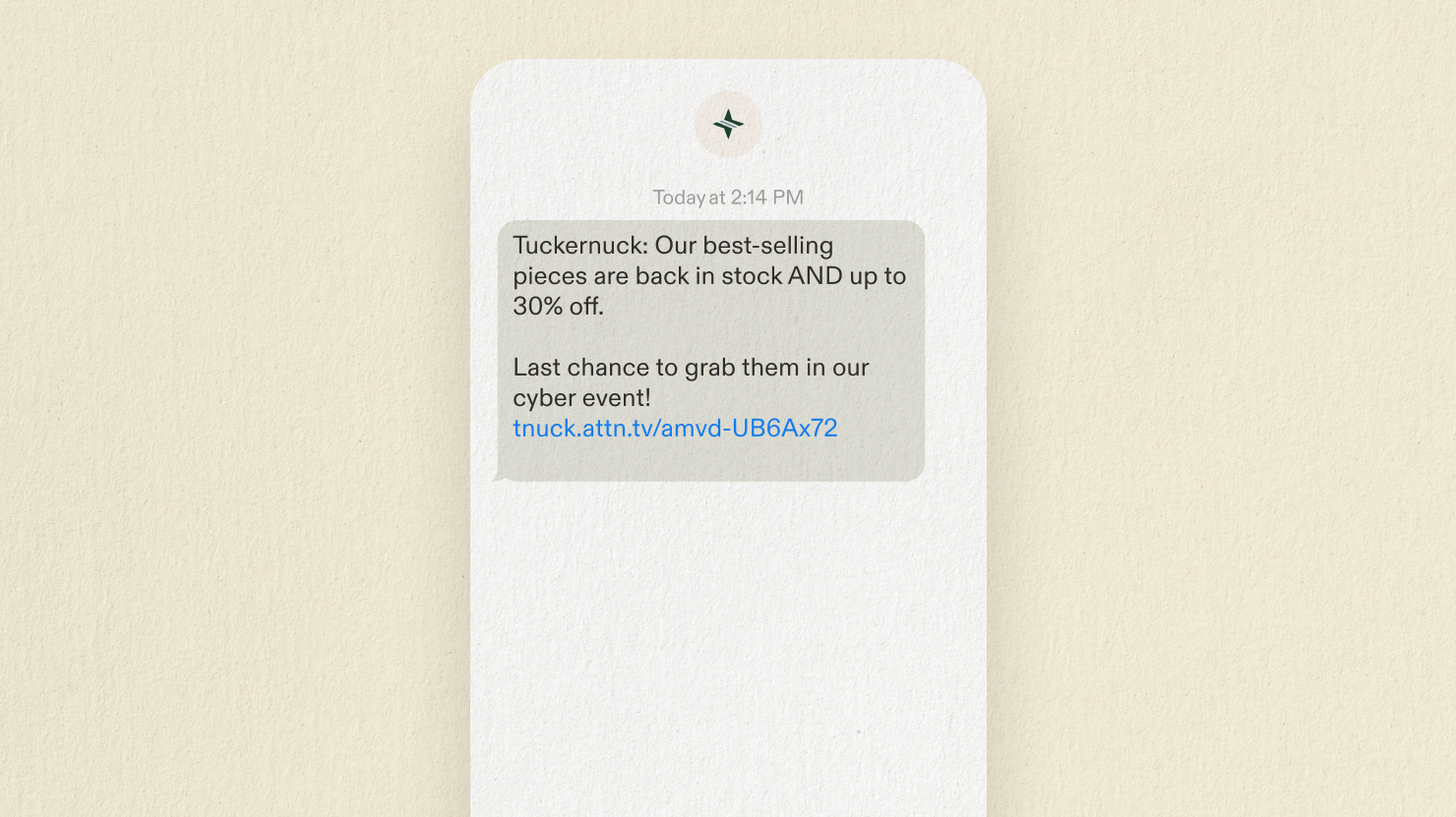 BFCM bestseller feature SMS campaign example