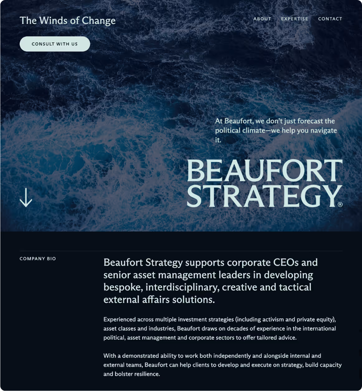 a screenshot of a website