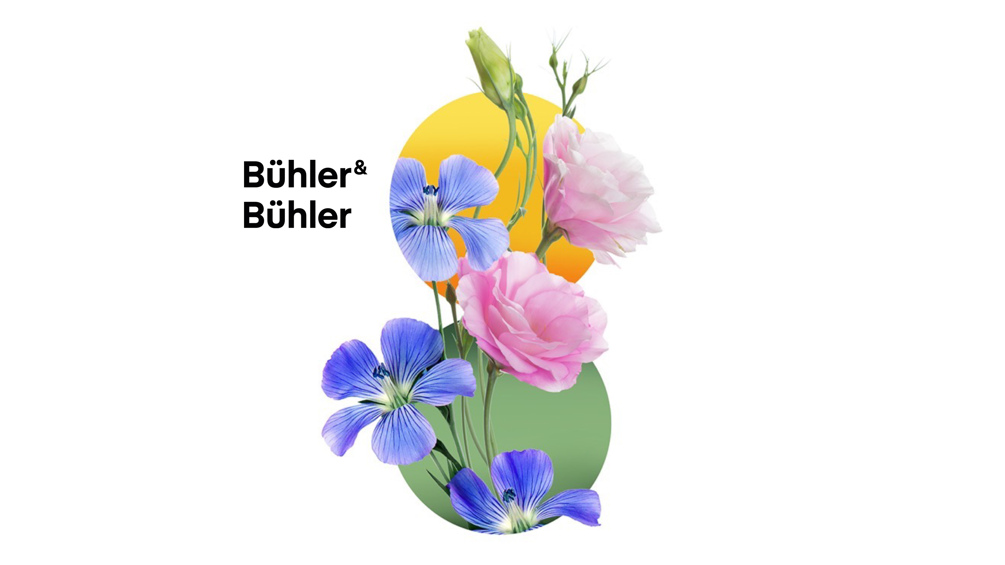 Agentur-Vorschau-Teaserbild