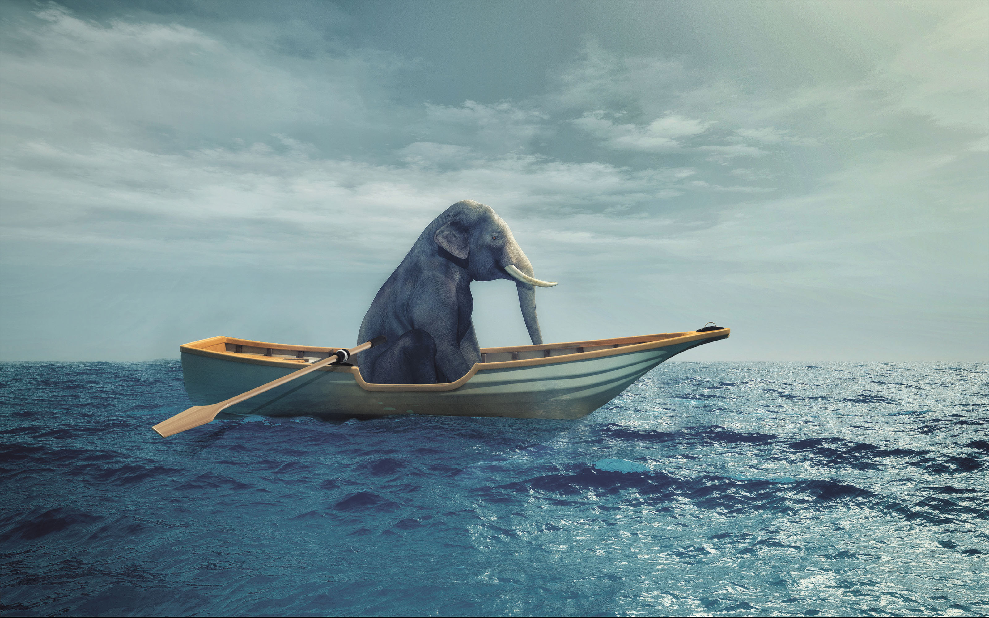 Agentur-Vorschau-Teaserbild