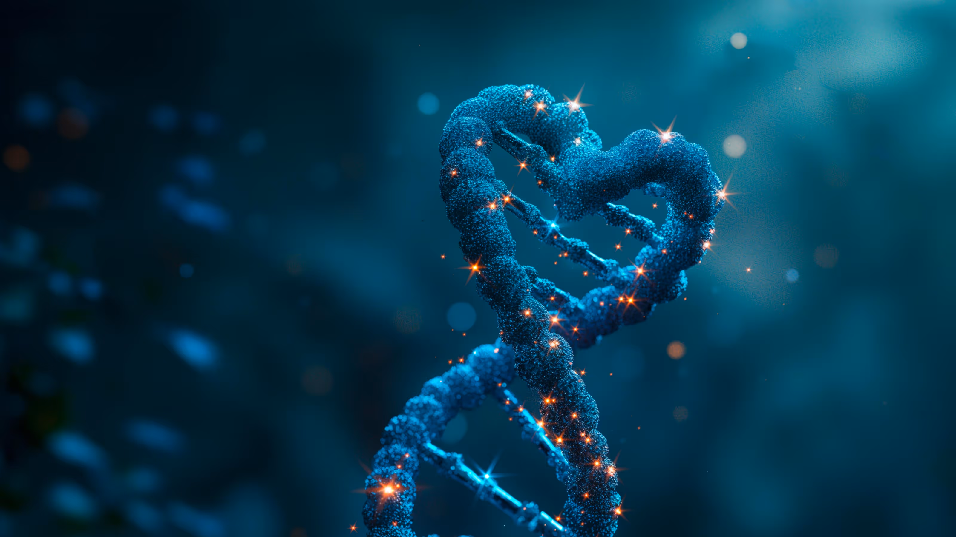 Agentur-Vorschau-Teaserbild