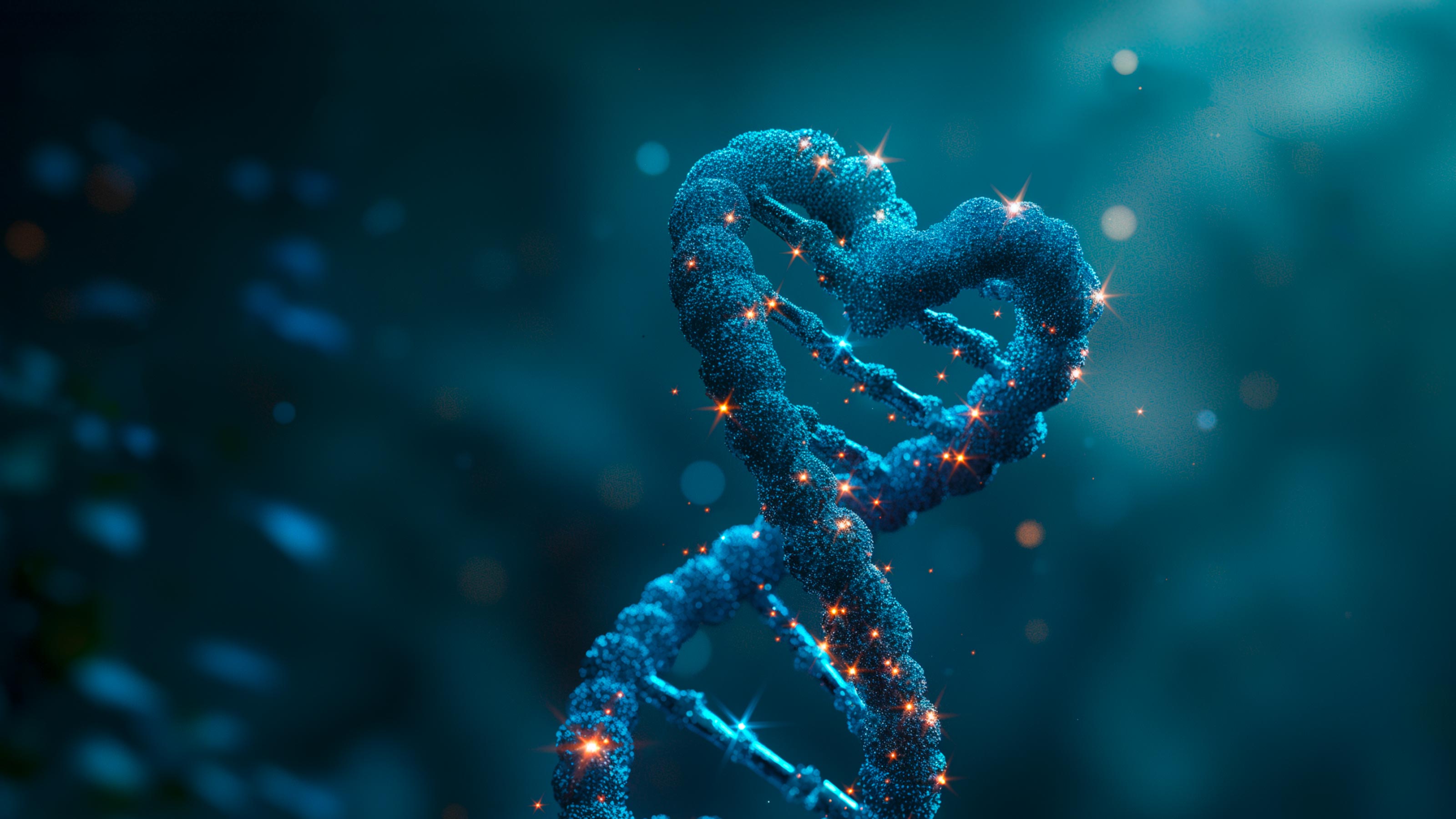 Agentur-Vorschau-Teaserbild