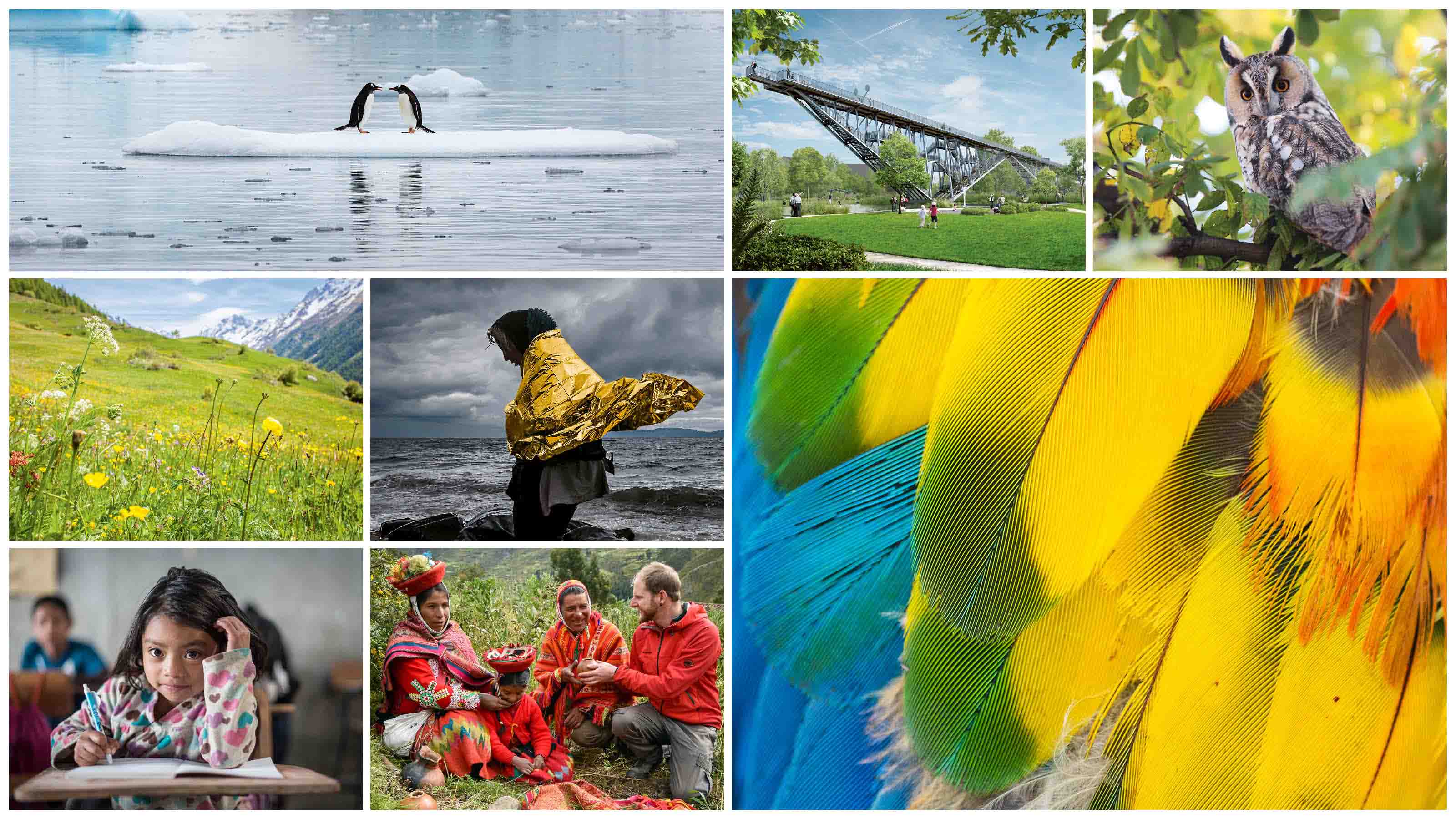 Agentur-Vorschau-Teaserbild