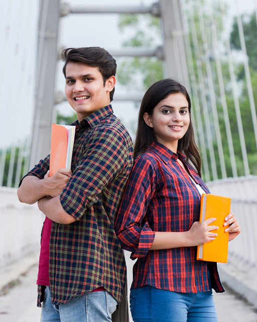 Indian Engineers in the U.S. or Canada