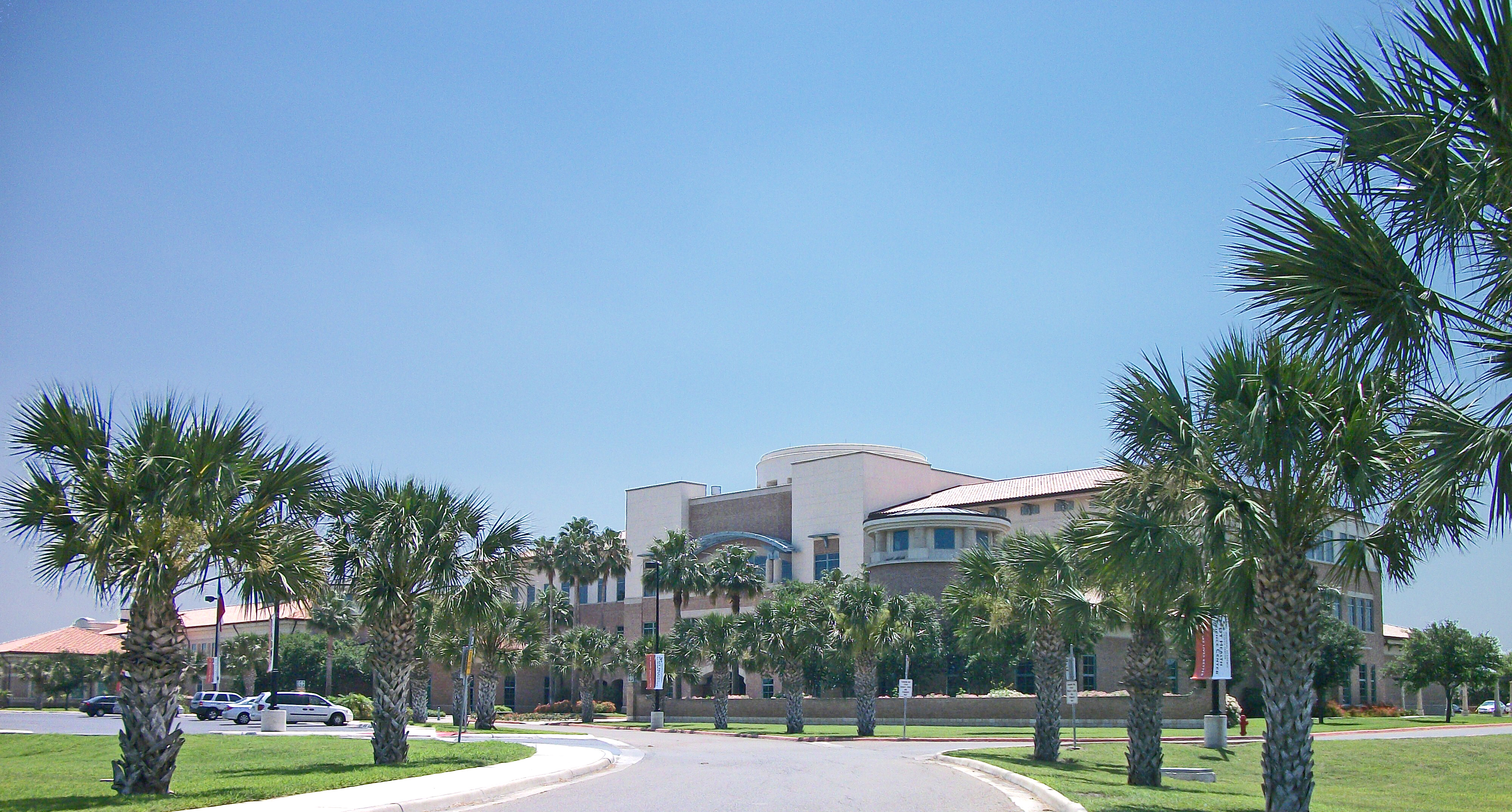 Wide view of a modern building with palm trees lining a curved driveway under a clear blue sky.